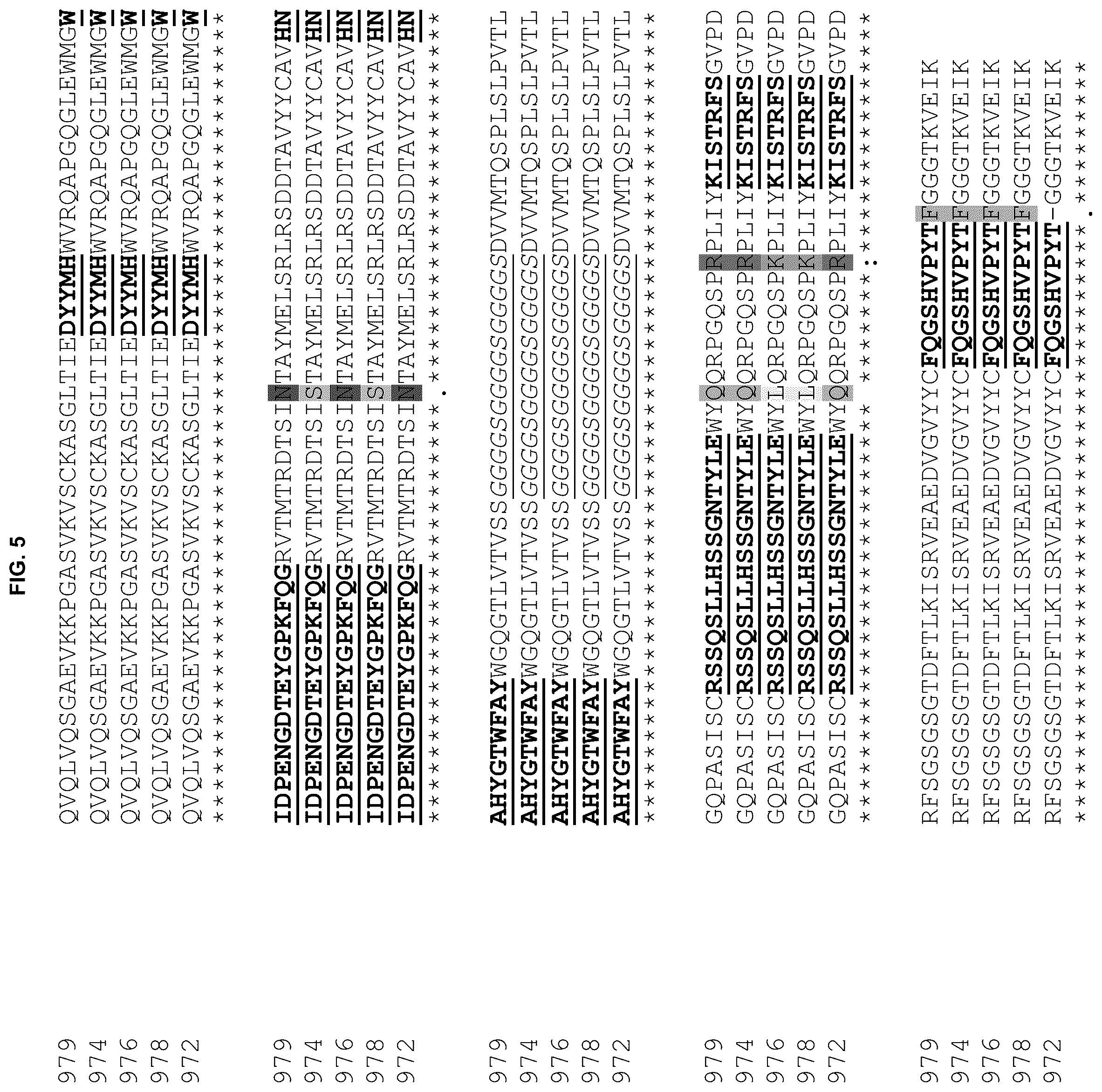 Patent US12304968 Figure 9 – T-cells expressing anti-LIV1 chimeric antigen receptor