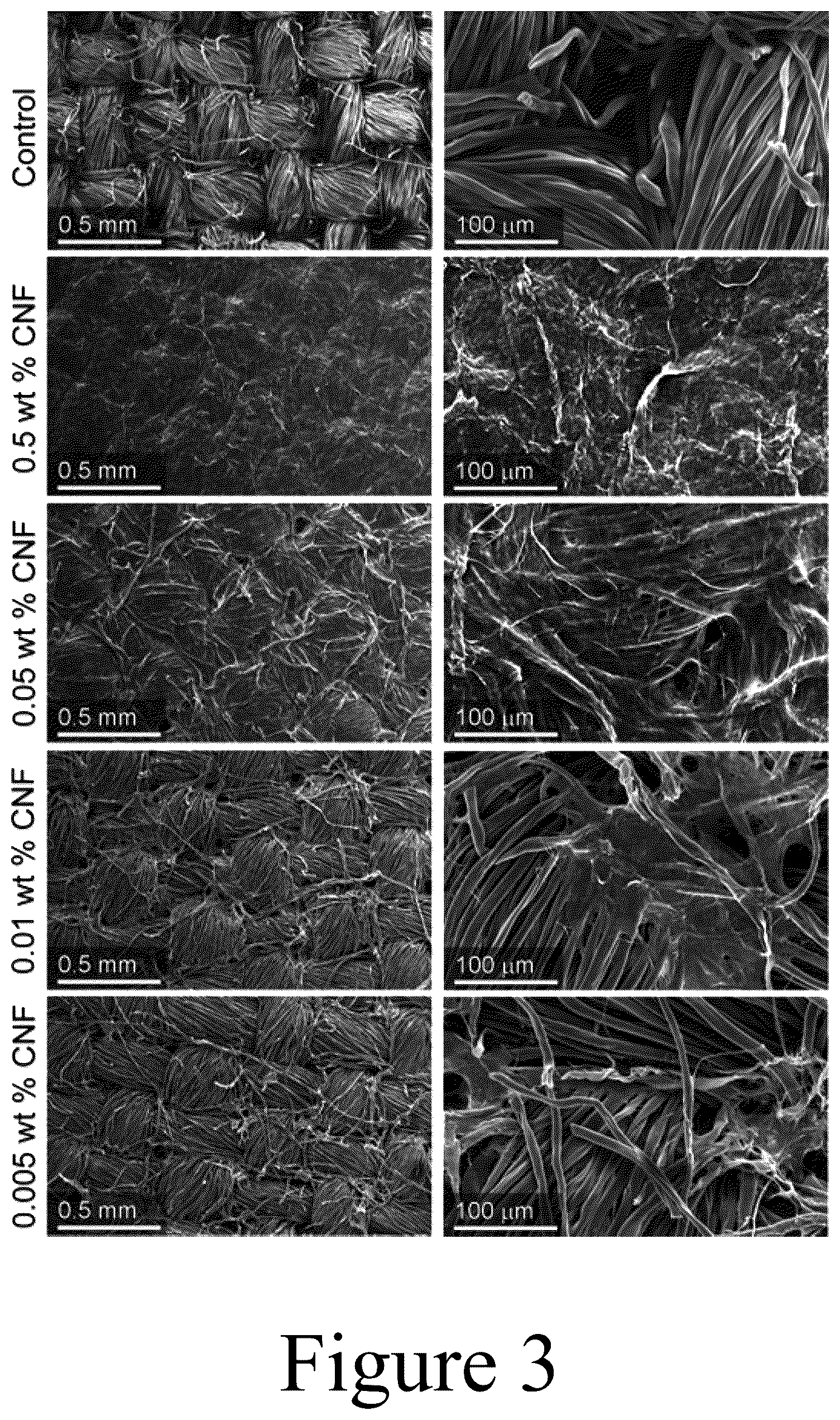 Patent US12304972 Figure 3 – Cellulose-containing filtration materials and methods of making the same