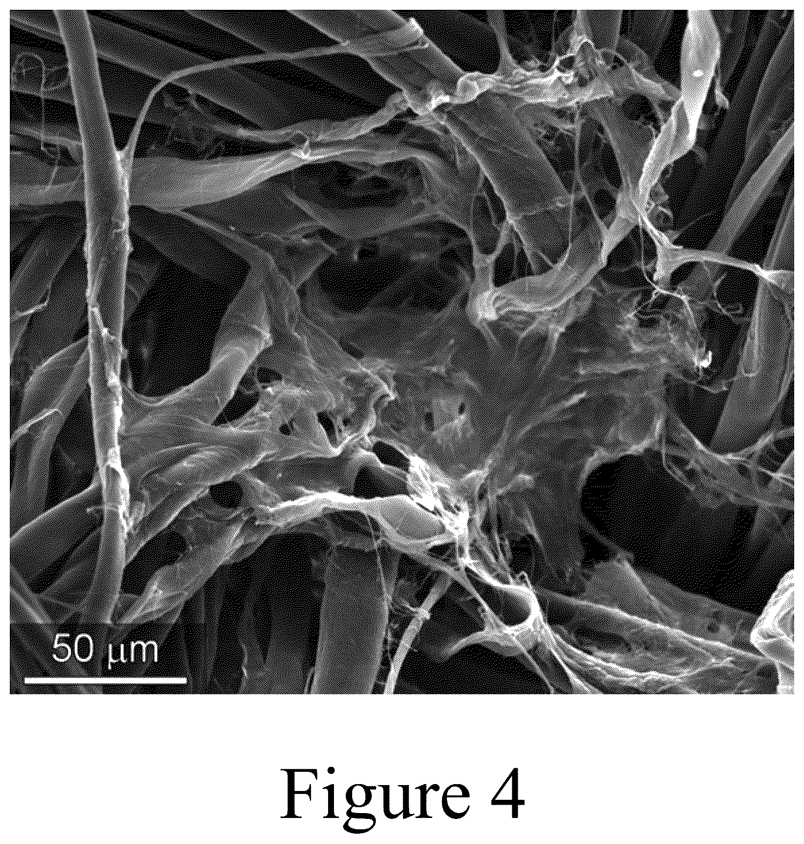 Patent US12304972 Figure 4 – Cellulose-containing filtration materials and methods of making the same