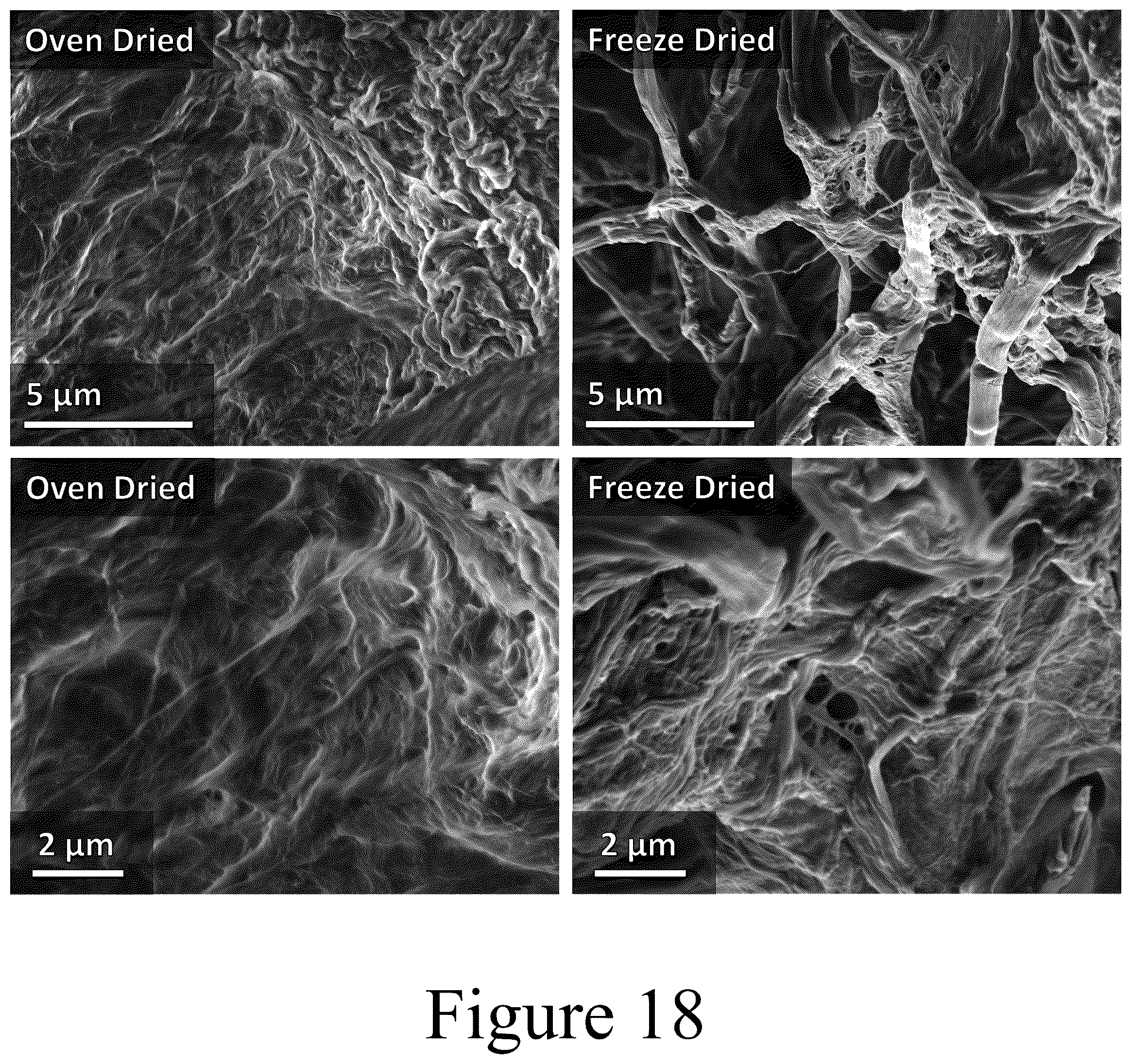 Patent US12304972 Figure 18 – Cellulose-containing filtration materials and methods of making the same