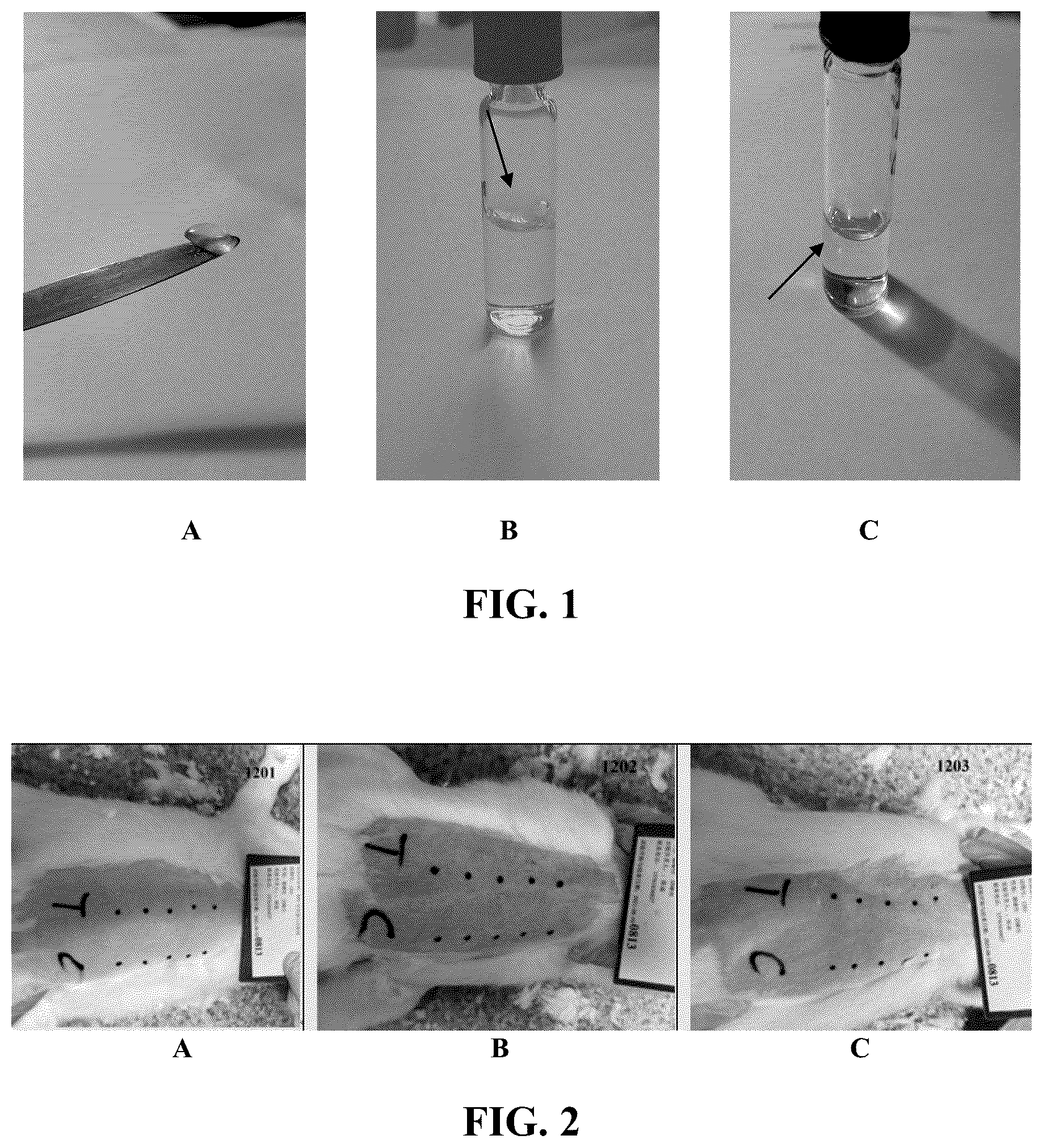 Patent US12304974 Figure 1 – Hyaluronic acid-collagen copolymer compositions and medical applications thereof