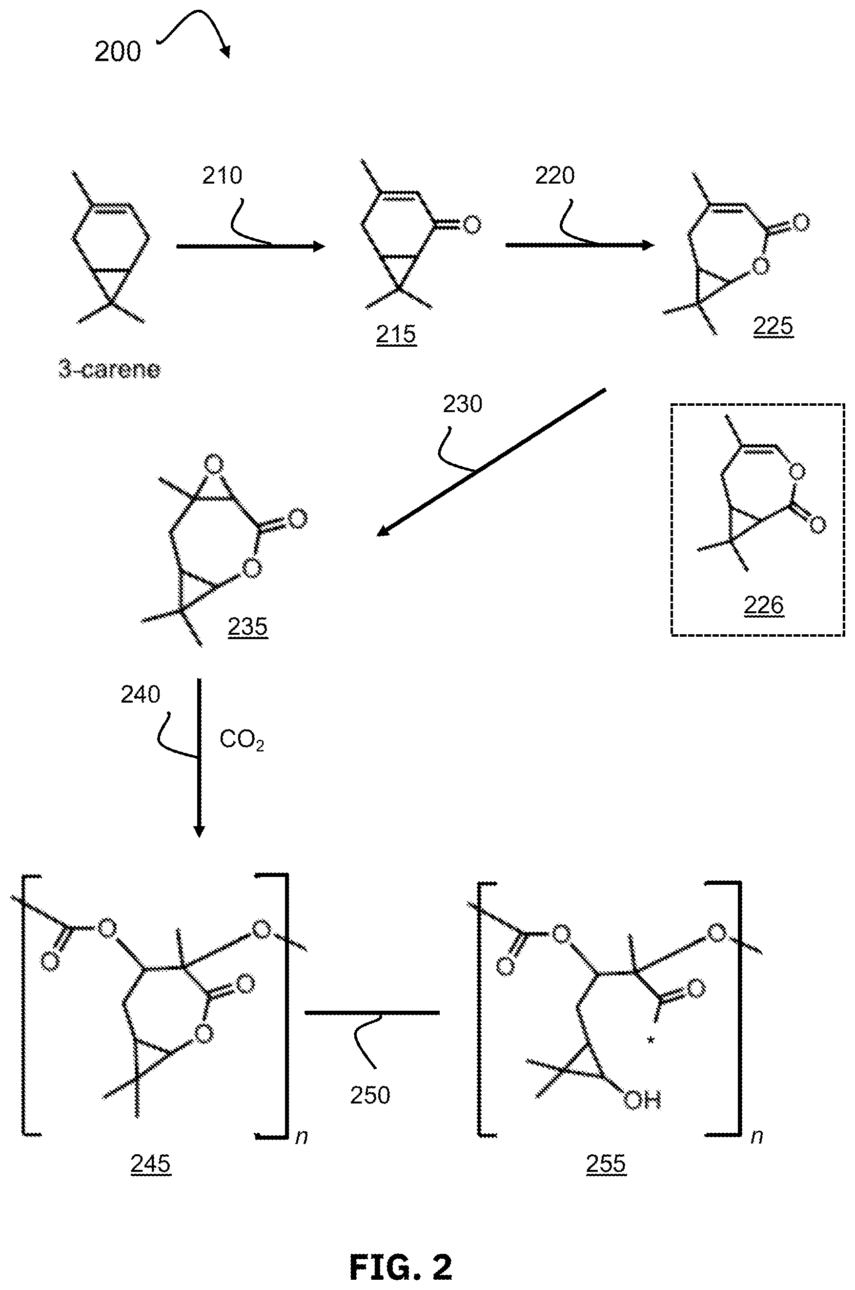 Patent US12304978 Figure 2 – Biobased materials derived from cyclic monoterpenes