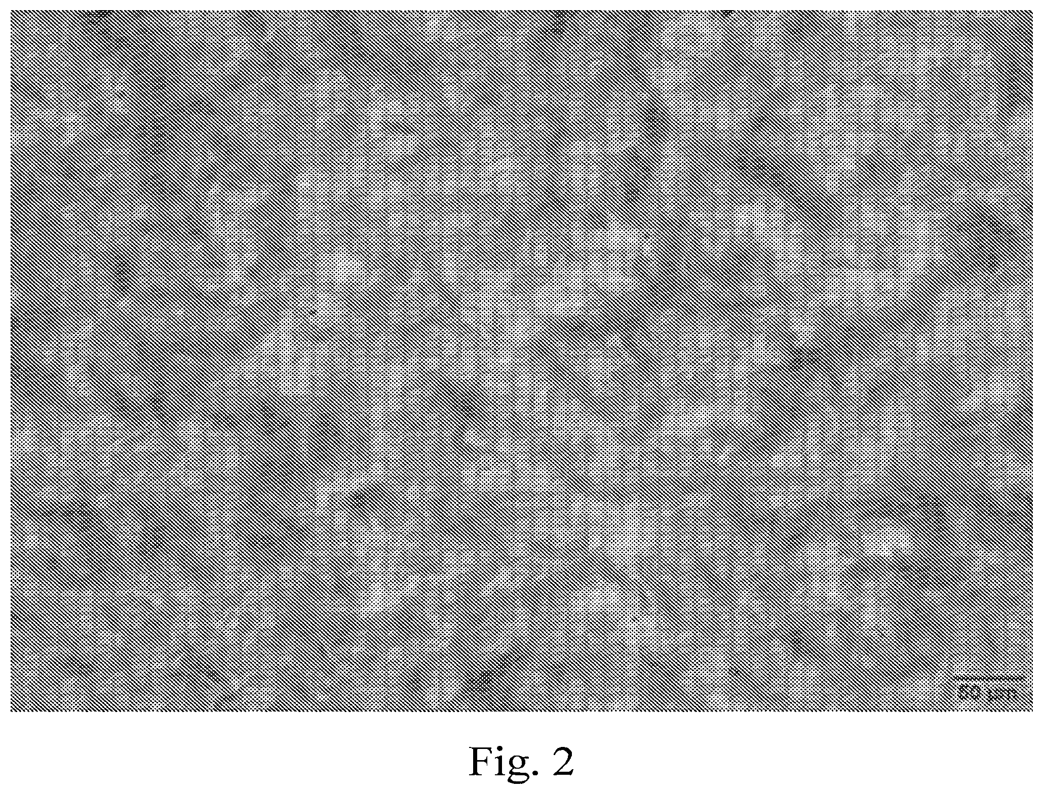 Patent US12305011 Figure 2 – Wavelength-controllable cellulose iridescent film and method for preparation thereof