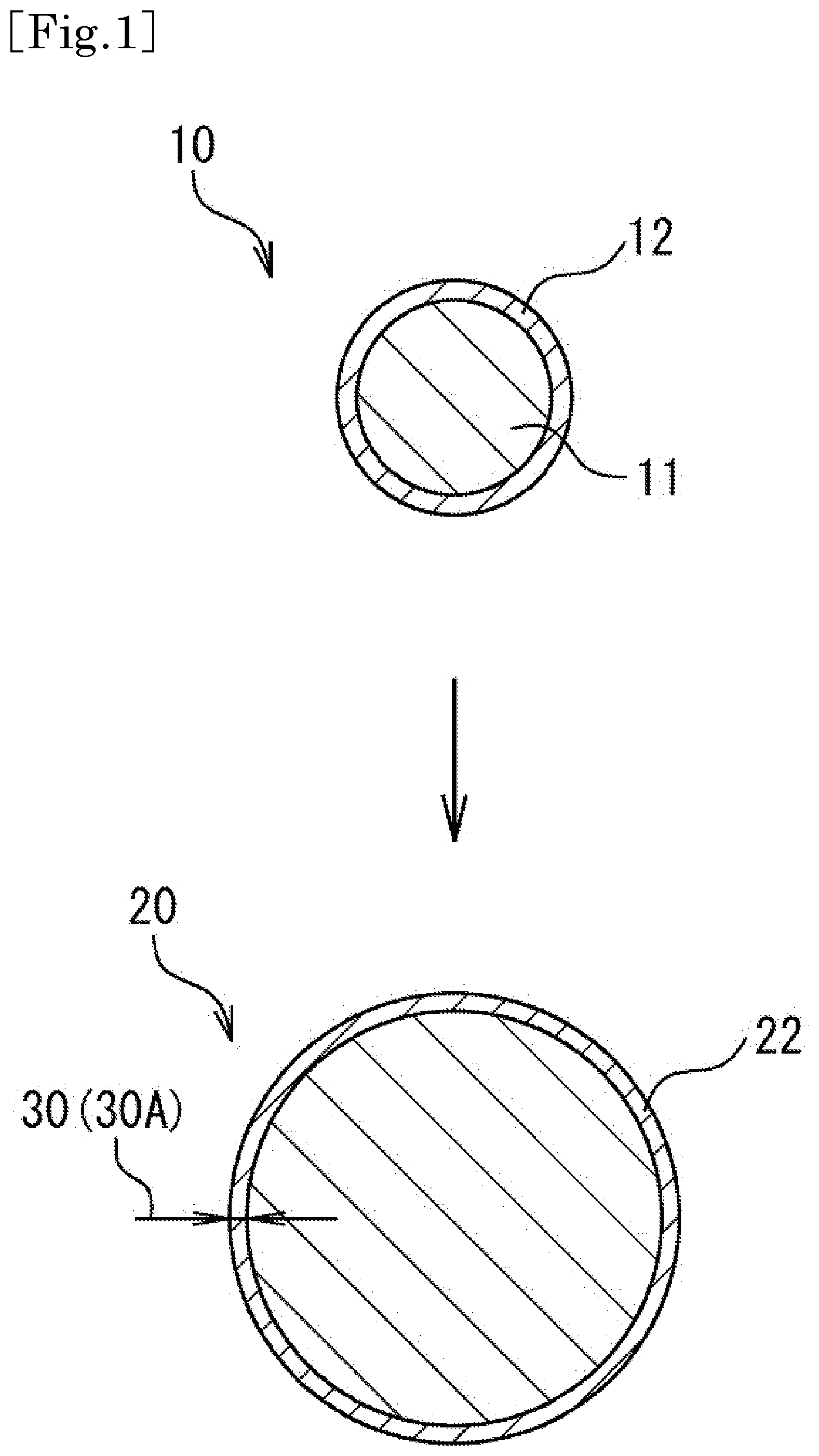 Patent US12305013 Figure 1 – Polypropylene-based resin expanded beads and method for producing polypropylene-based resin expanded beads