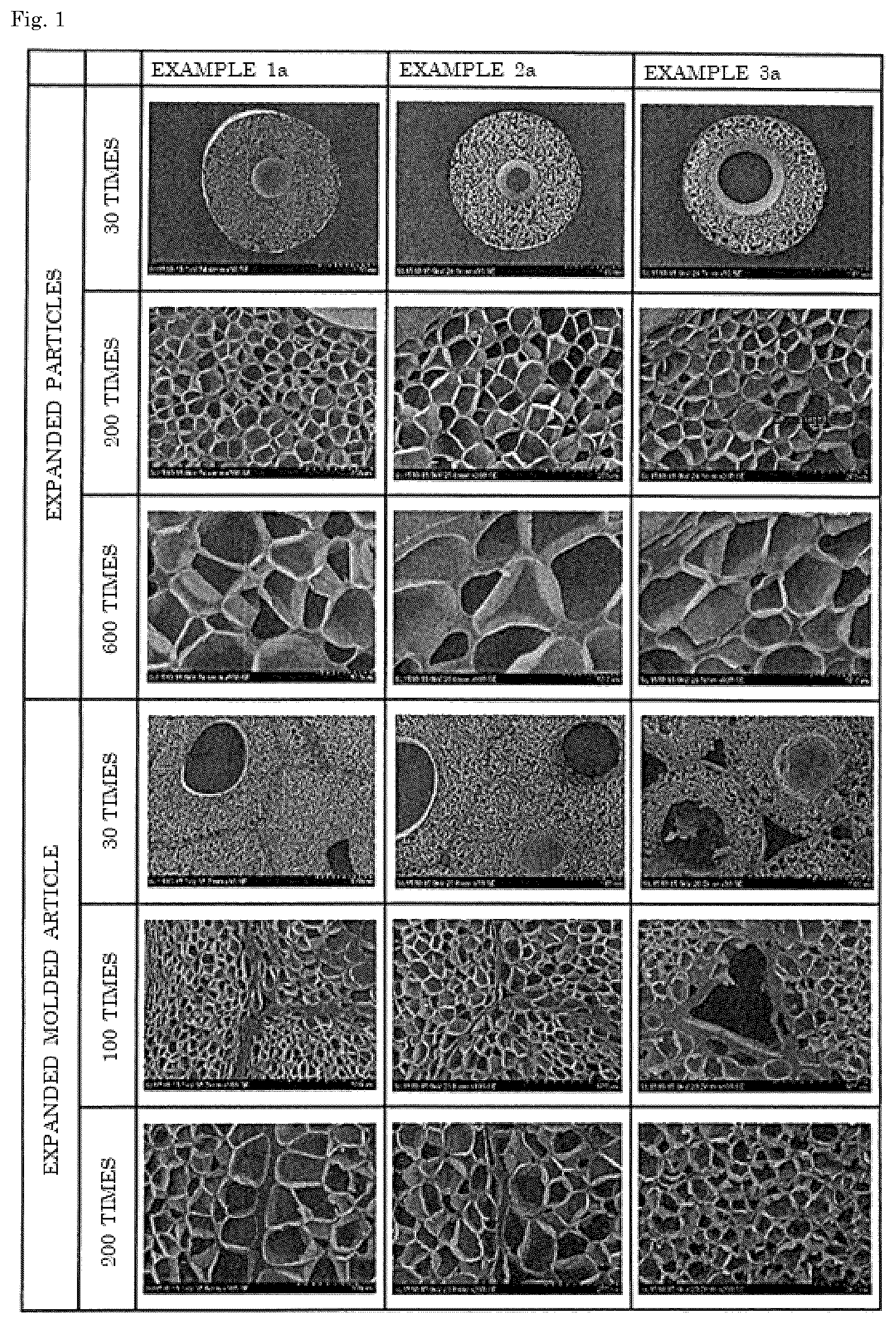 Patent US12305014 Figure 1 – Expanded particles and expanded molded article