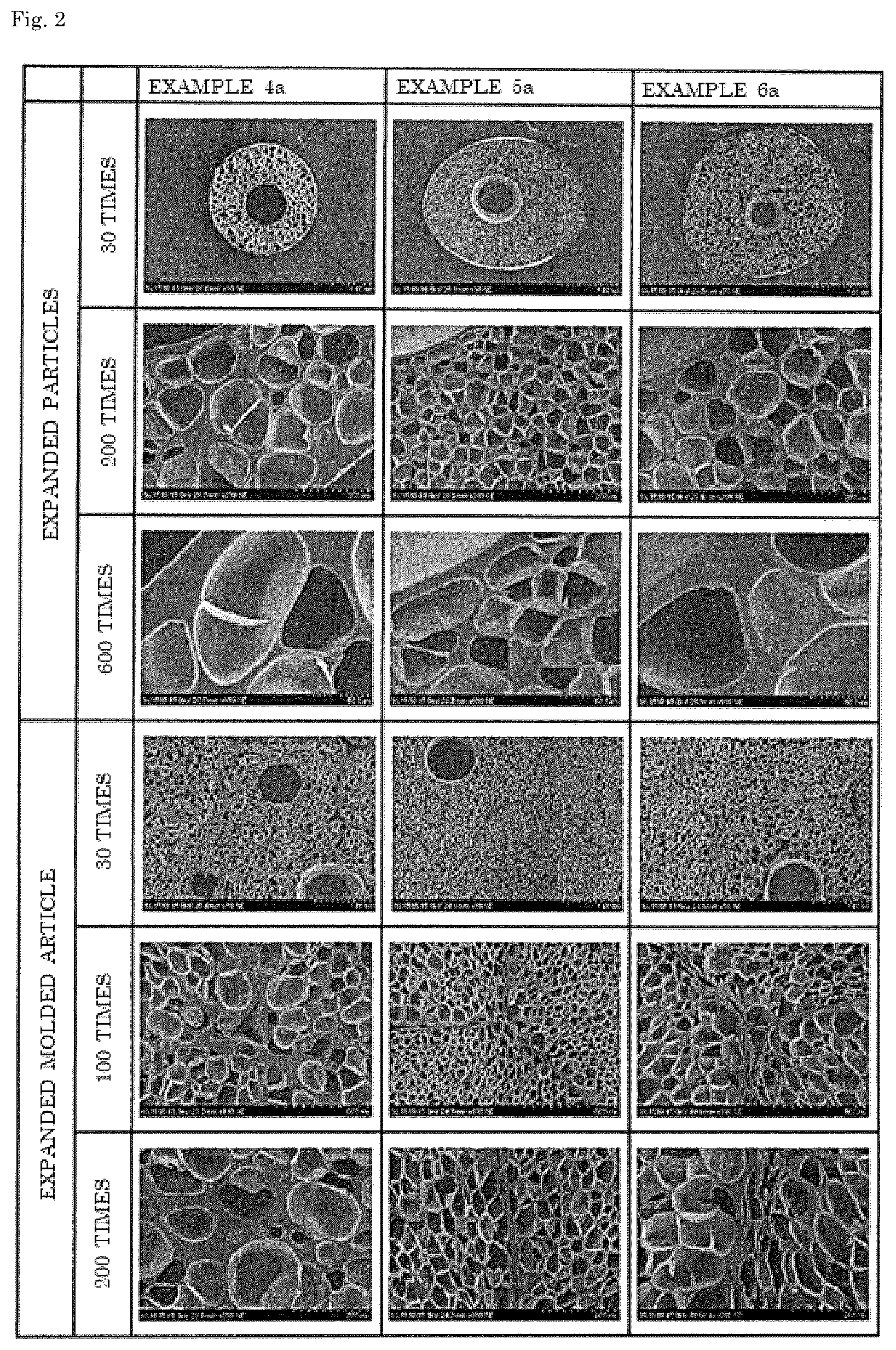 Patent US12305014 Figure 2 – Expanded particles and expanded molded article