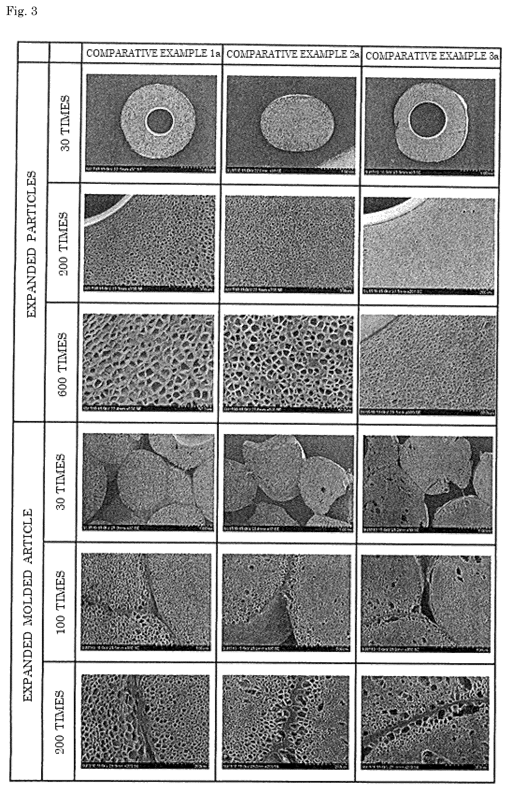 Patent US12305014 Figure 3 – Expanded particles and expanded molded article