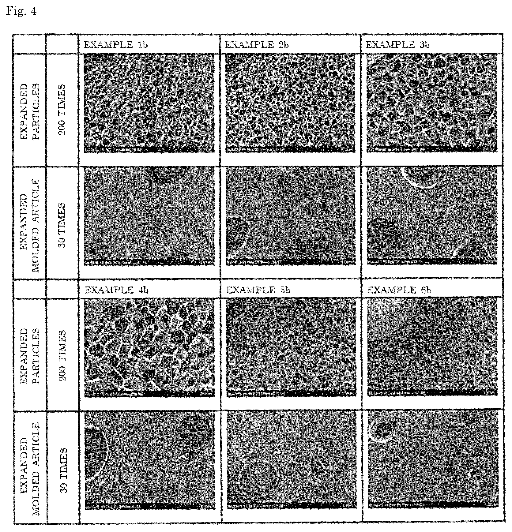 Patent US12305014 Figure 4 – Expanded particles and expanded molded article