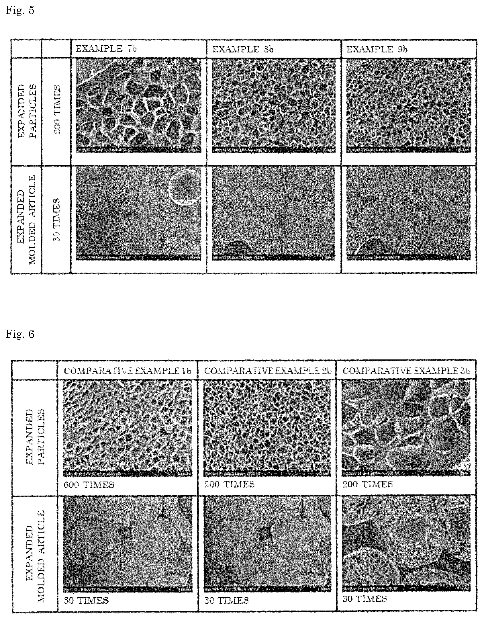 Patent US12305014 Figure 5 – Expanded particles and expanded molded article