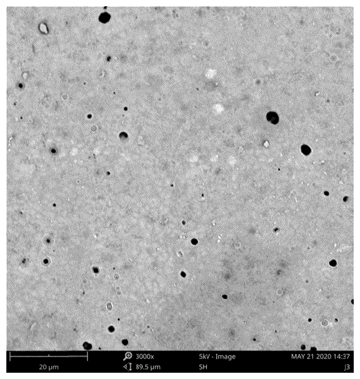 Patent US12305045 Figure 1 – Polyamide coating slurry and its preparing method, and process for preparing polyamide-coated fabric for printing