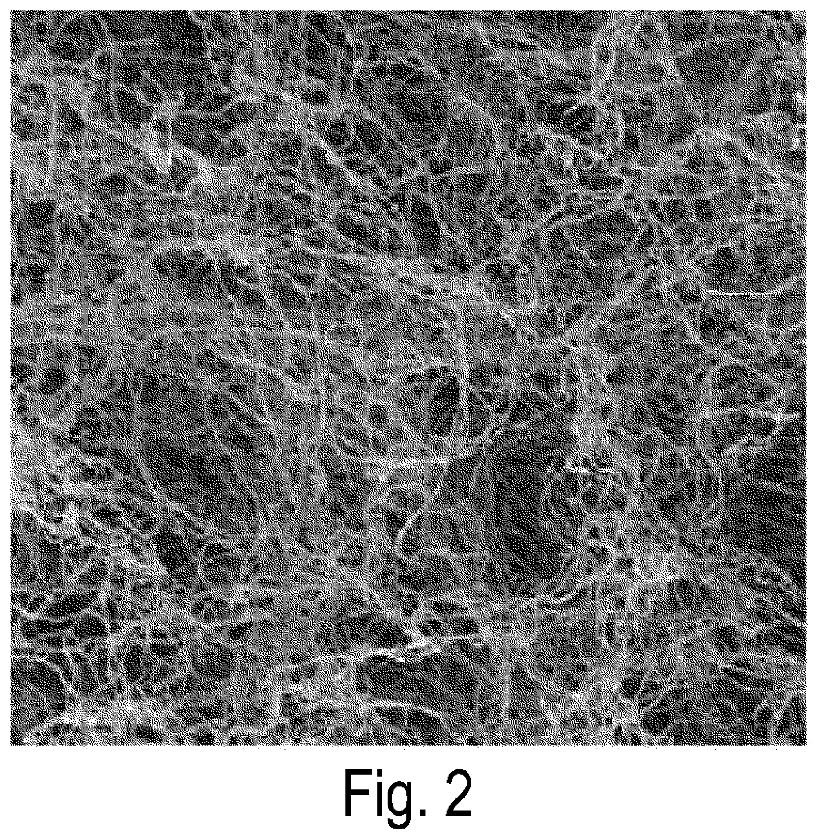 Patent US12305054 Figure 2 – Conductive paste, conductive film, and method for producing conductive film