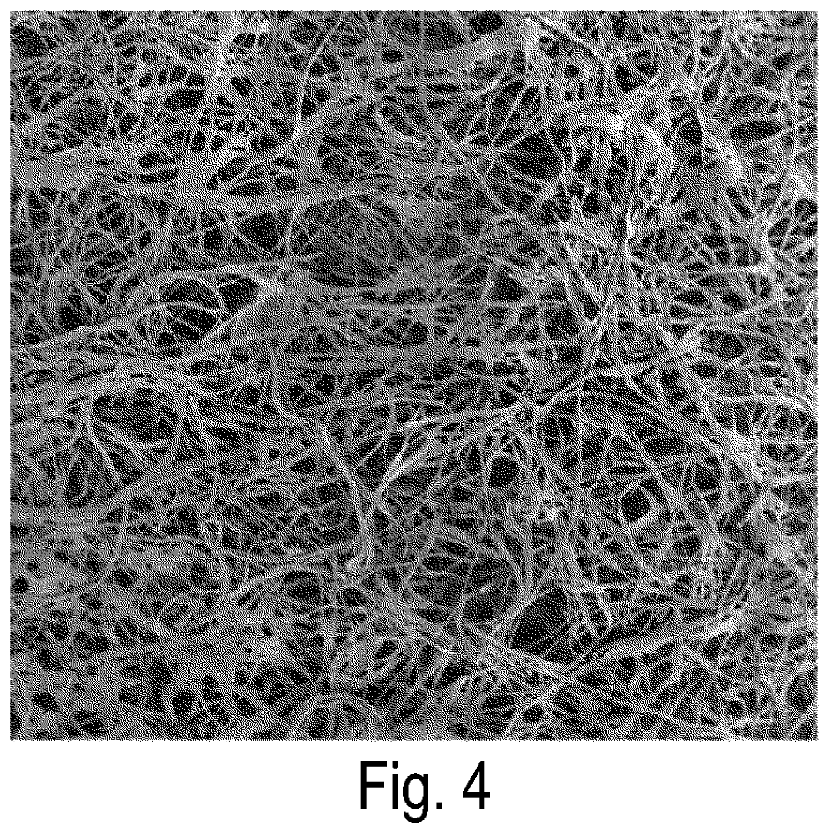Patent US12305054 Figure 4 – Conductive paste, conductive film, and method for producing conductive film