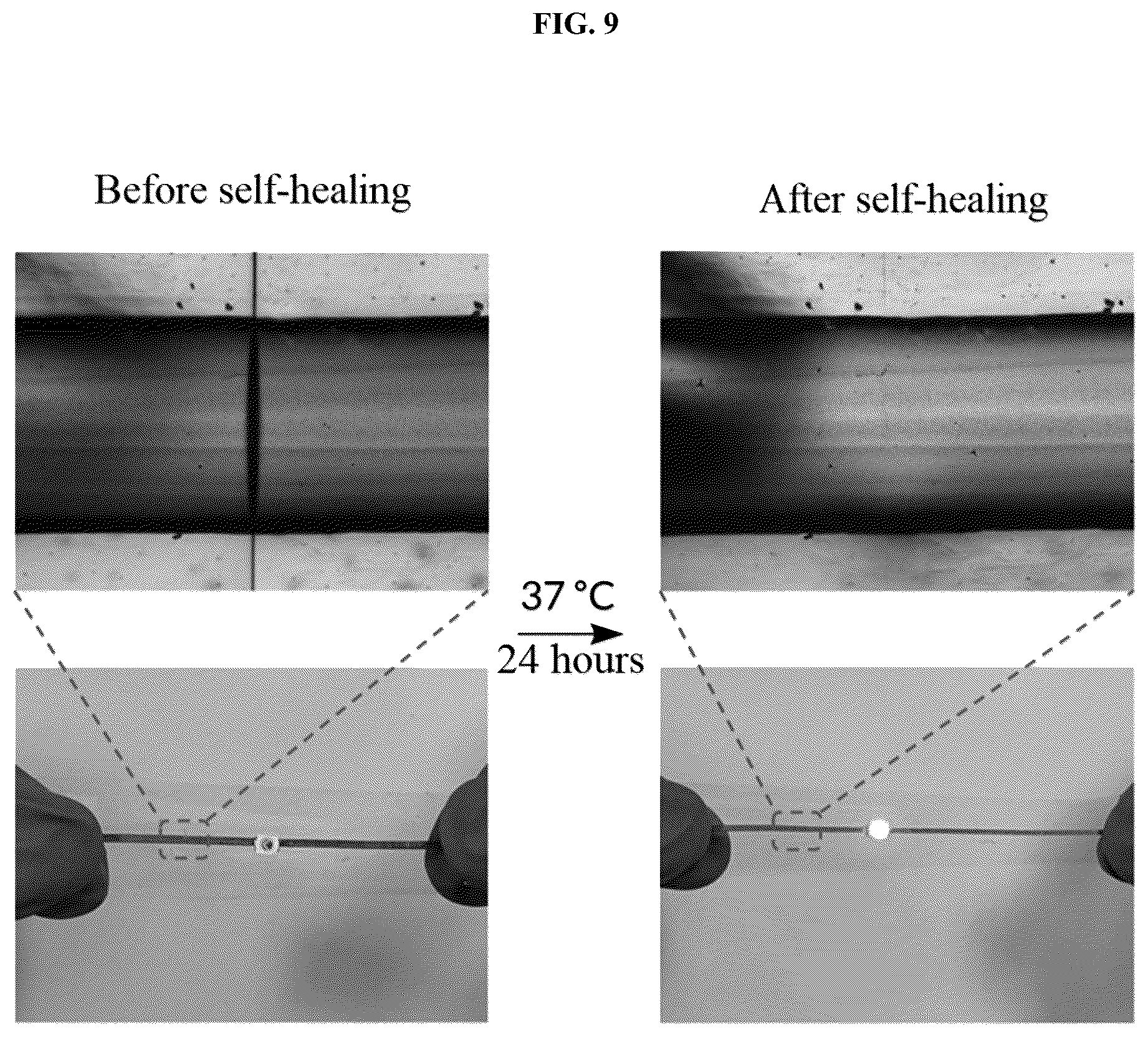 Patent US12305056 Figure 11 – Liquid metal particle-assembled network synthesized in various polymers, and manufacturing method of the same