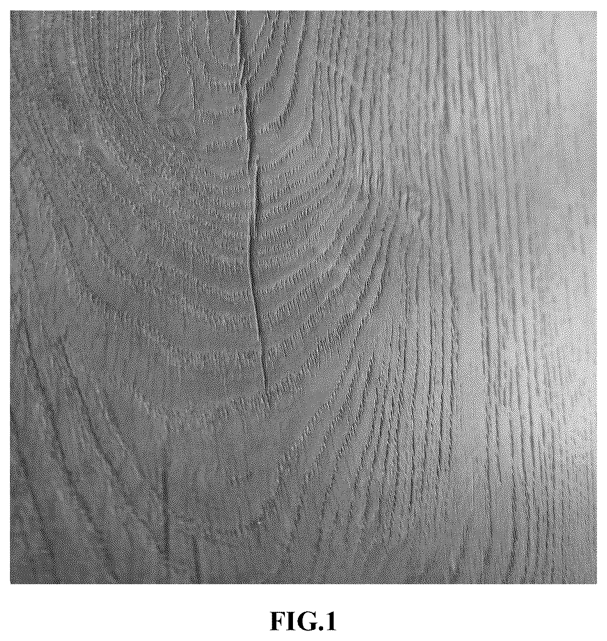 Patent US12305072 — Method for treating surface of floor — Figure 1