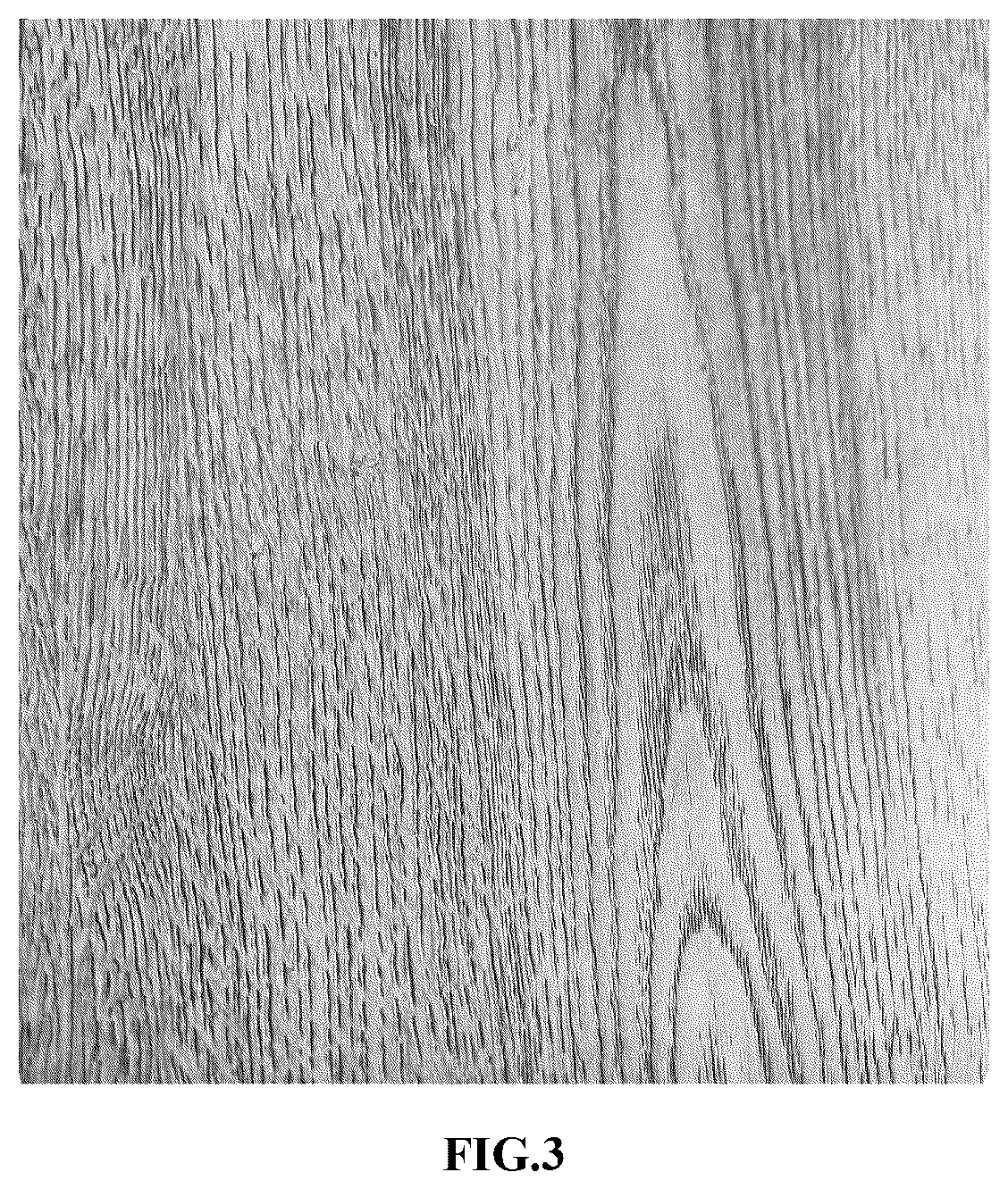 Patent US12305072 Figure 3 – Method for treating surface of floor