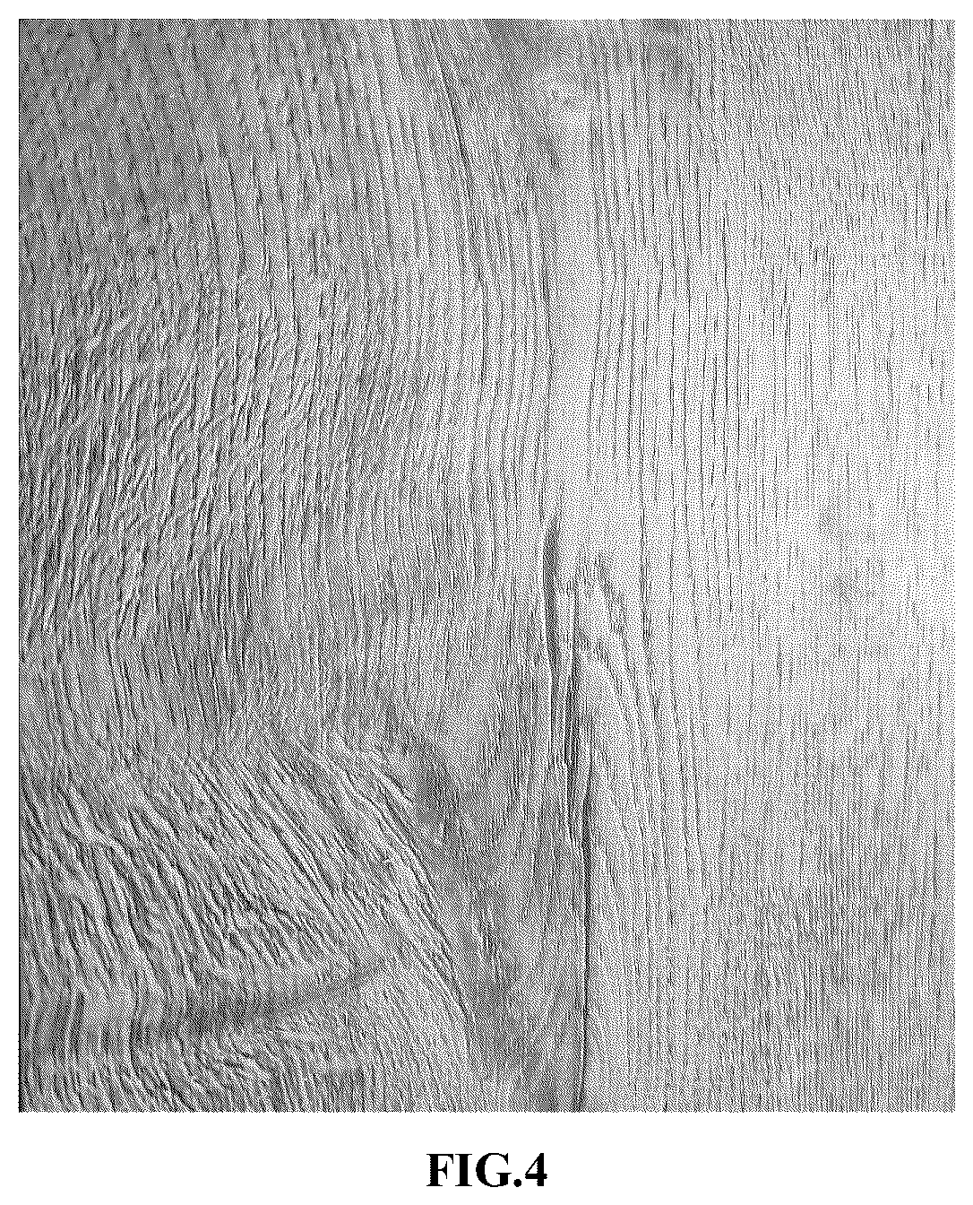 Patent US12305072 Figure 4 – Method for treating surface of floor