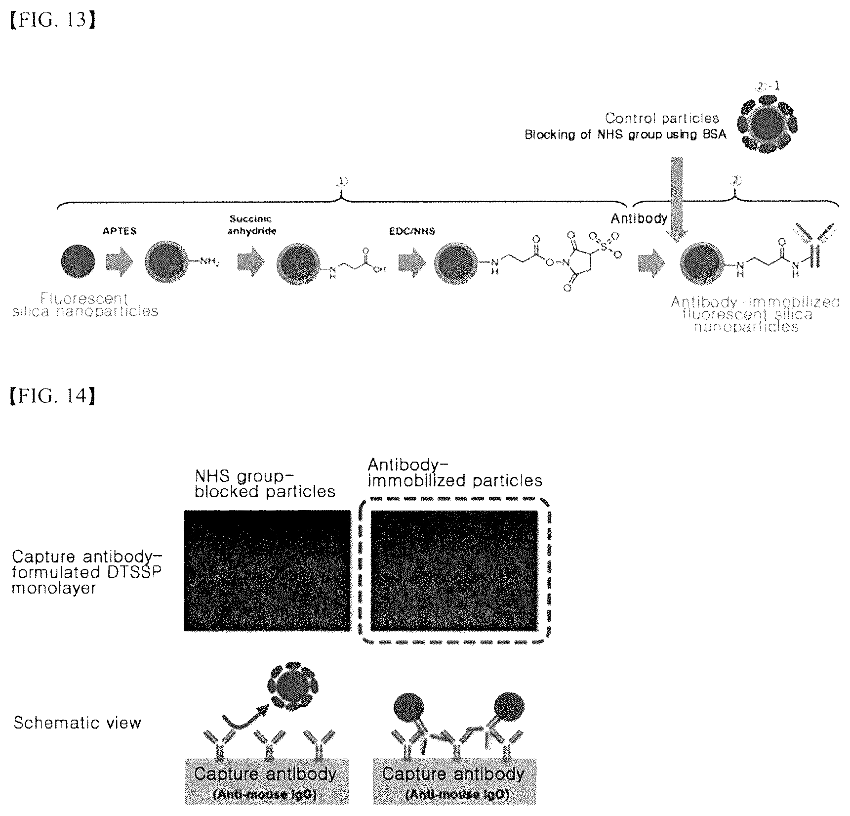 Patent US12305097 Figure 7 – Fluorescent silica nanoparticles using silane-lanthanum-base complex composite and cross-linking reaction and method for manufacturing same