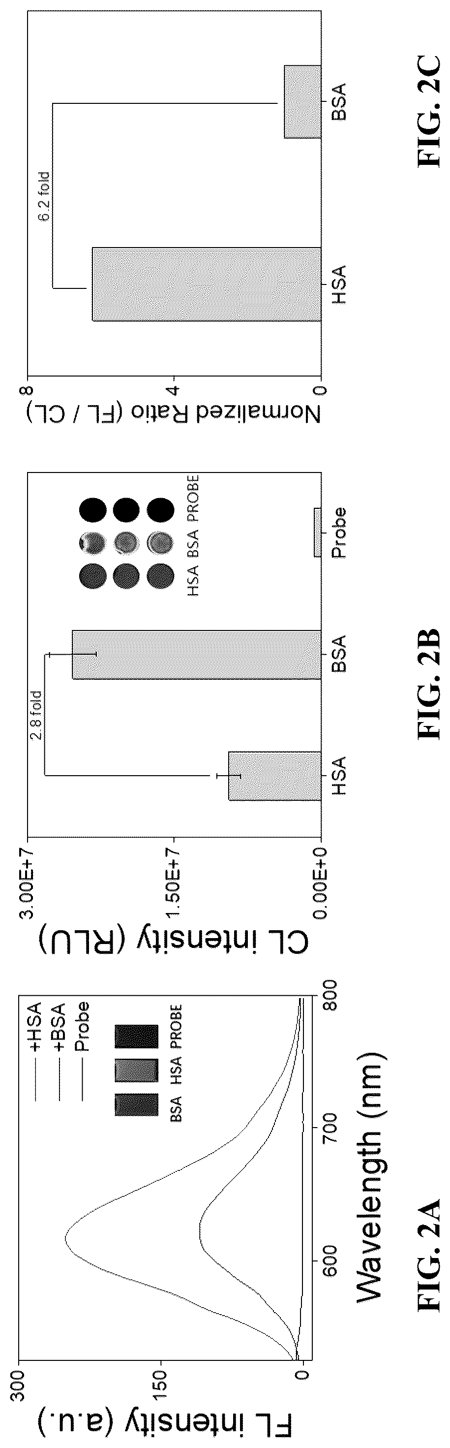 Patent US12305098 Figure 2 – Luminescent probe and its preparation method and application