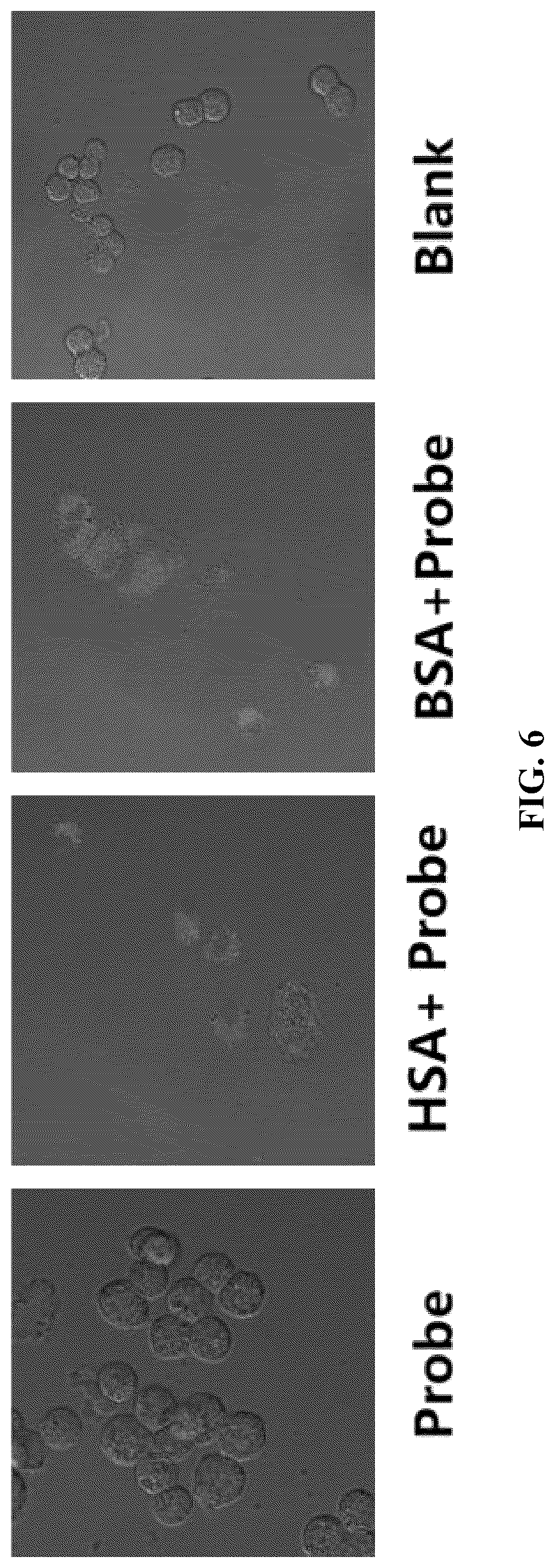 Patent US12305098 Figure 6 – Luminescent probe and its preparation method and application