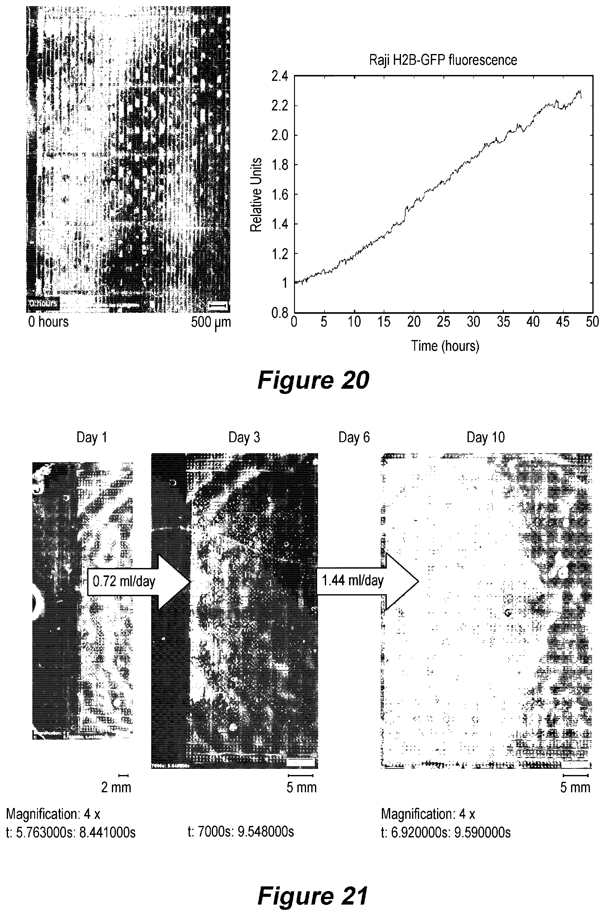 Patent US12305153 Figure 15 – Microfluidic device and method of use for cell culture