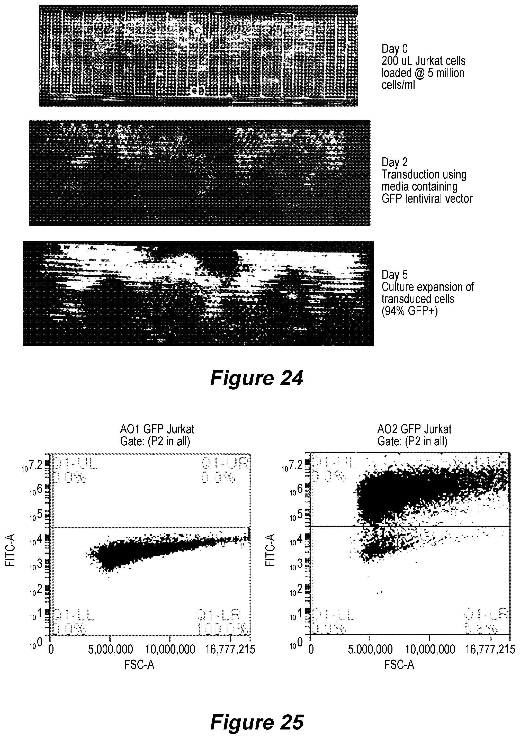 Patent US12305153 Figure 17 – Microfluidic device and method of use for cell culture