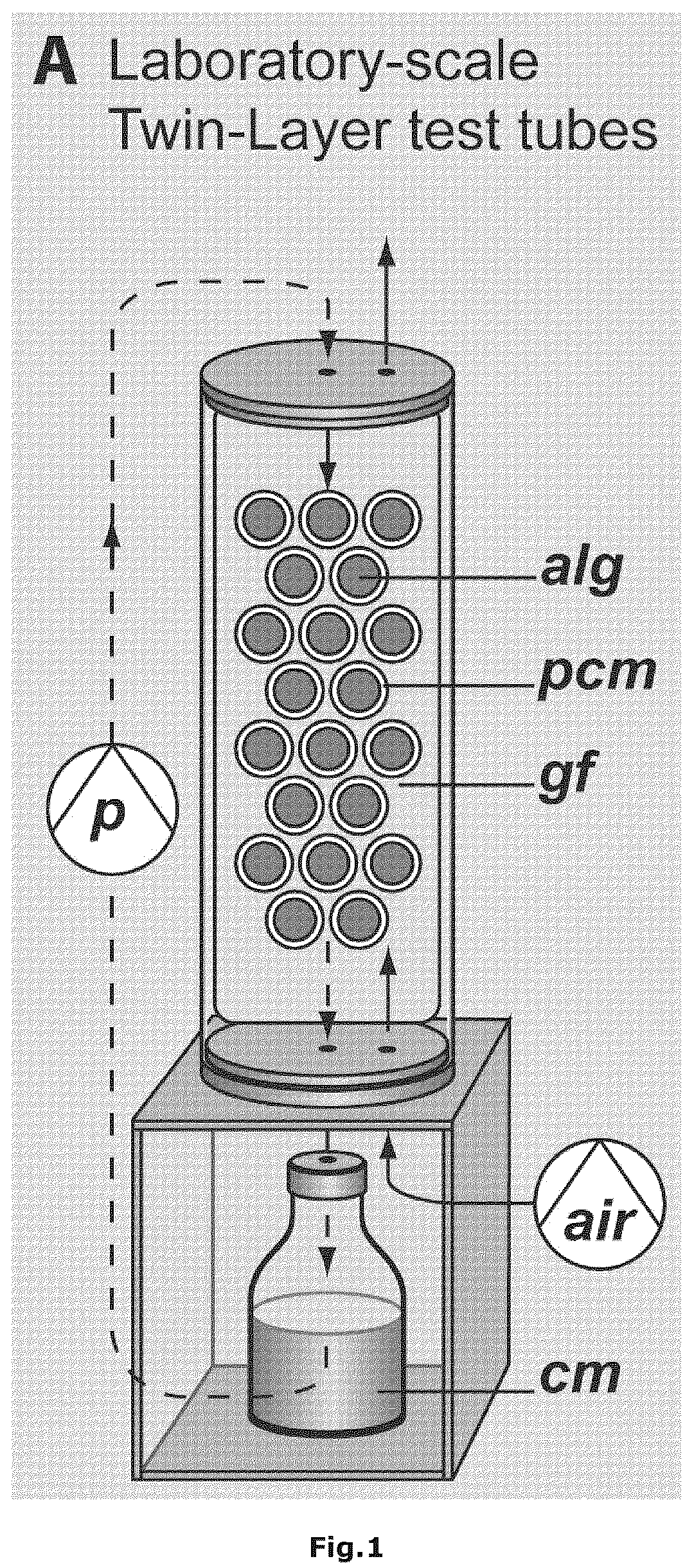 Patent US12305161 Figure 1 – Method of culturing Haematococcus species for manufacturing of astaxanthin