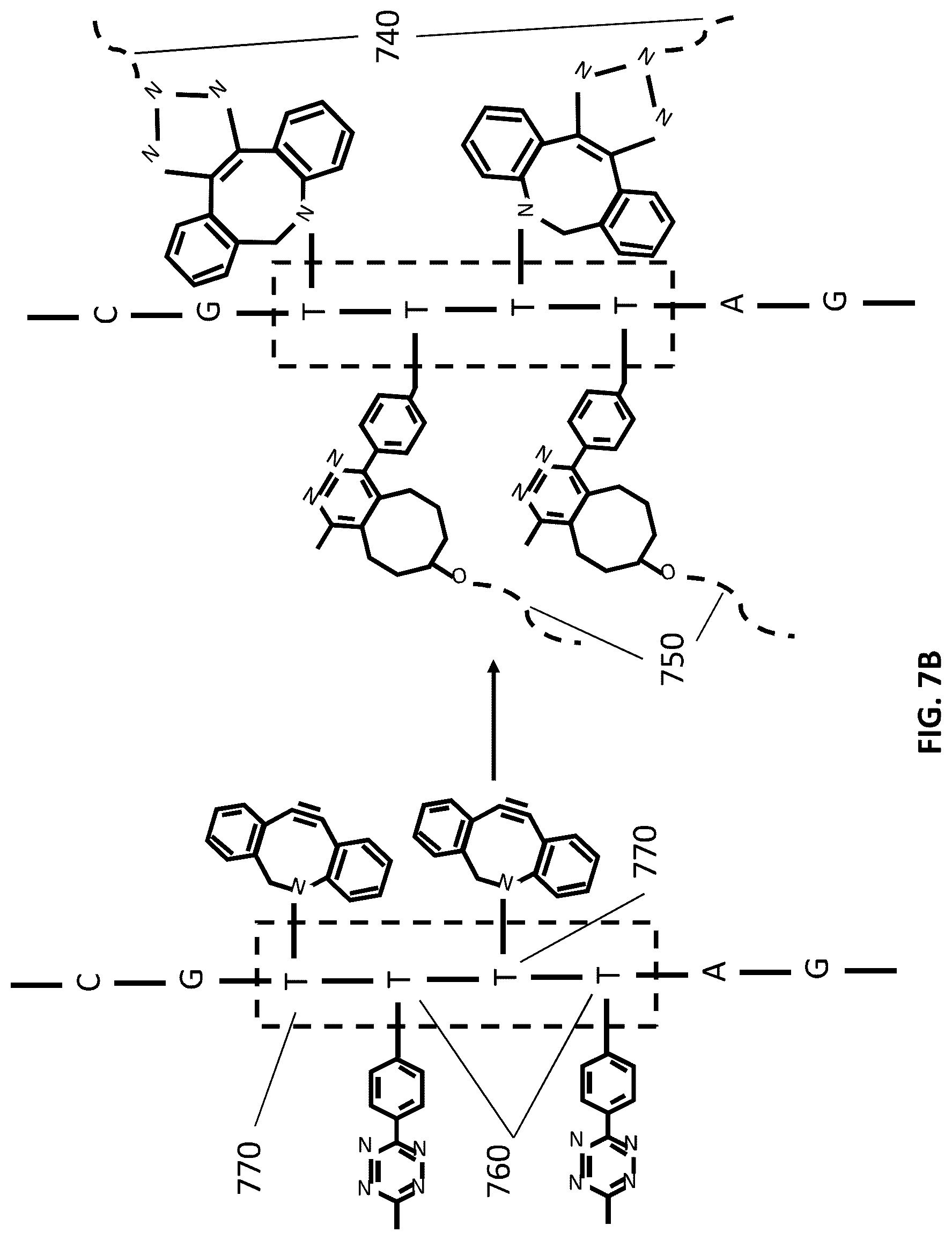 Patent US12305167 Figure 12 – Systems and methods for biomolecule retention