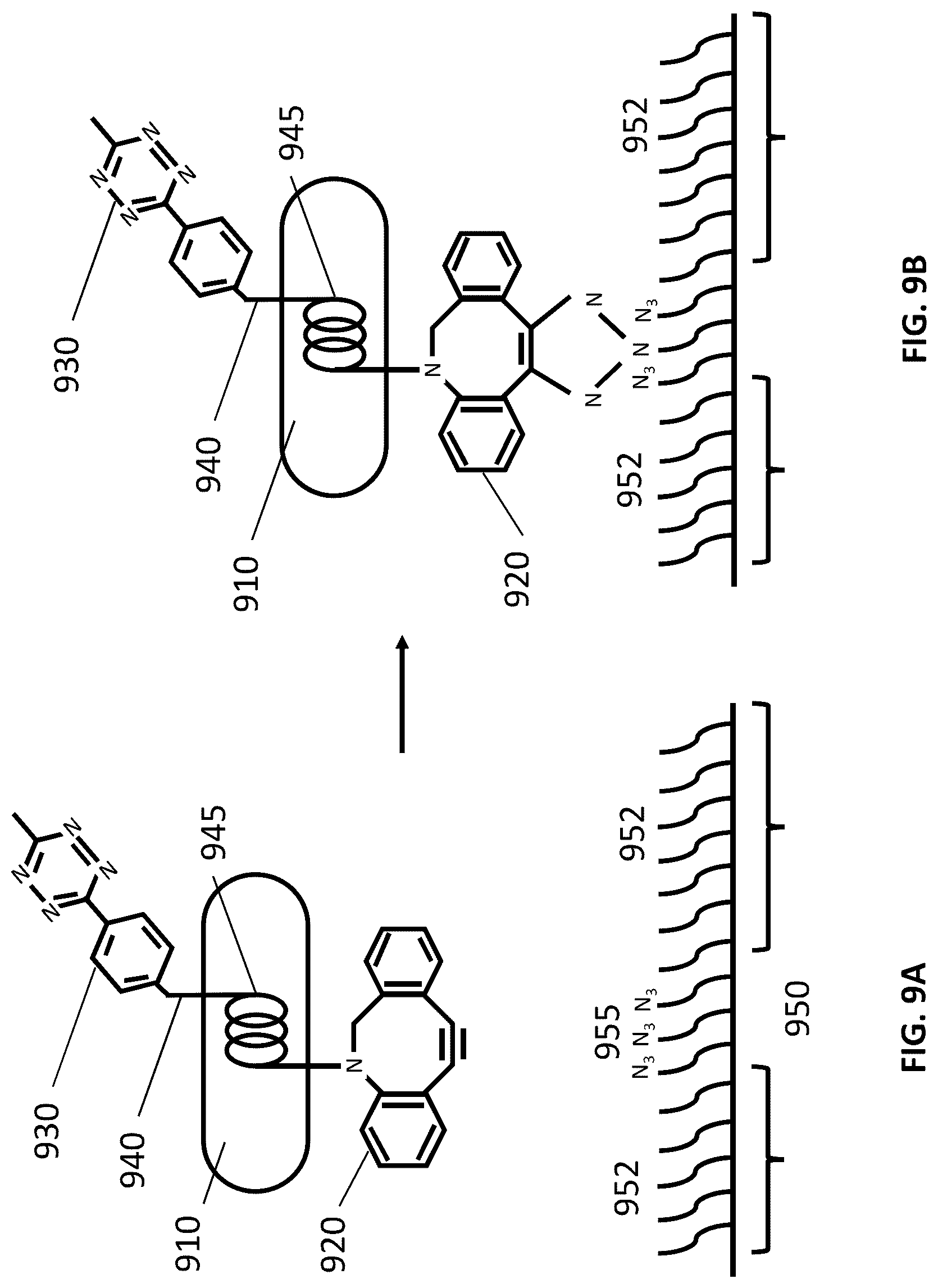 Patent US12305167 Figure 14 – Systems and methods for biomolecule retention