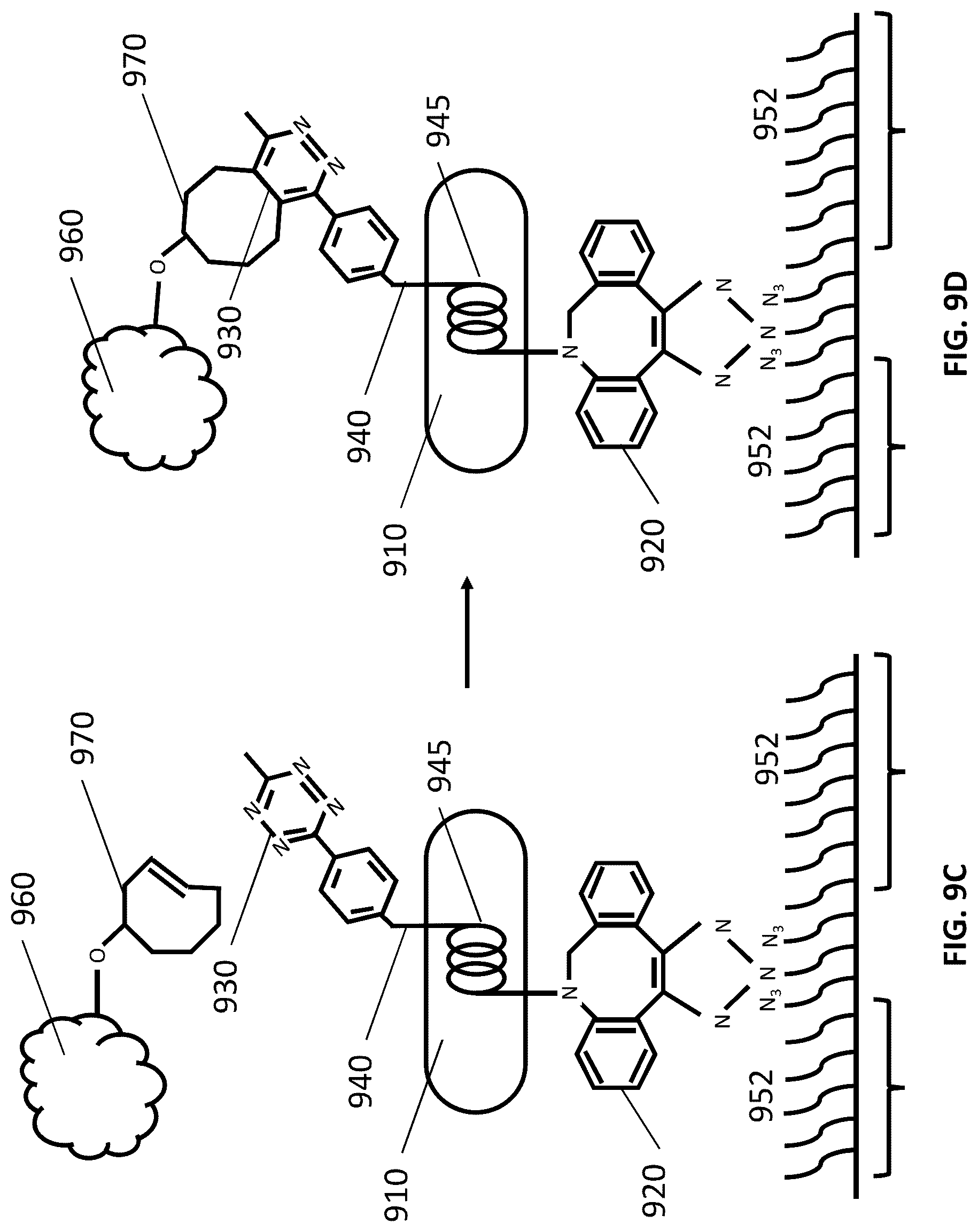 Patent US12305167 Figure 15 – Systems and methods for biomolecule retention