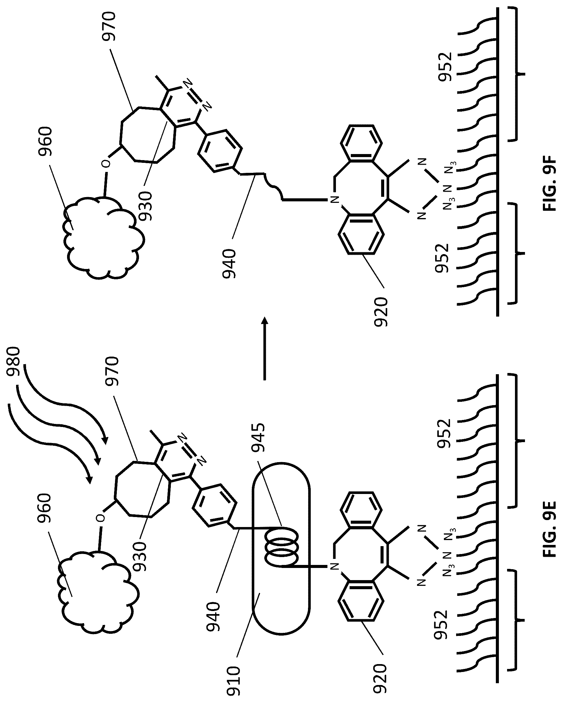 Patent US12305167 Figure 16 – Systems and methods for biomolecule retention