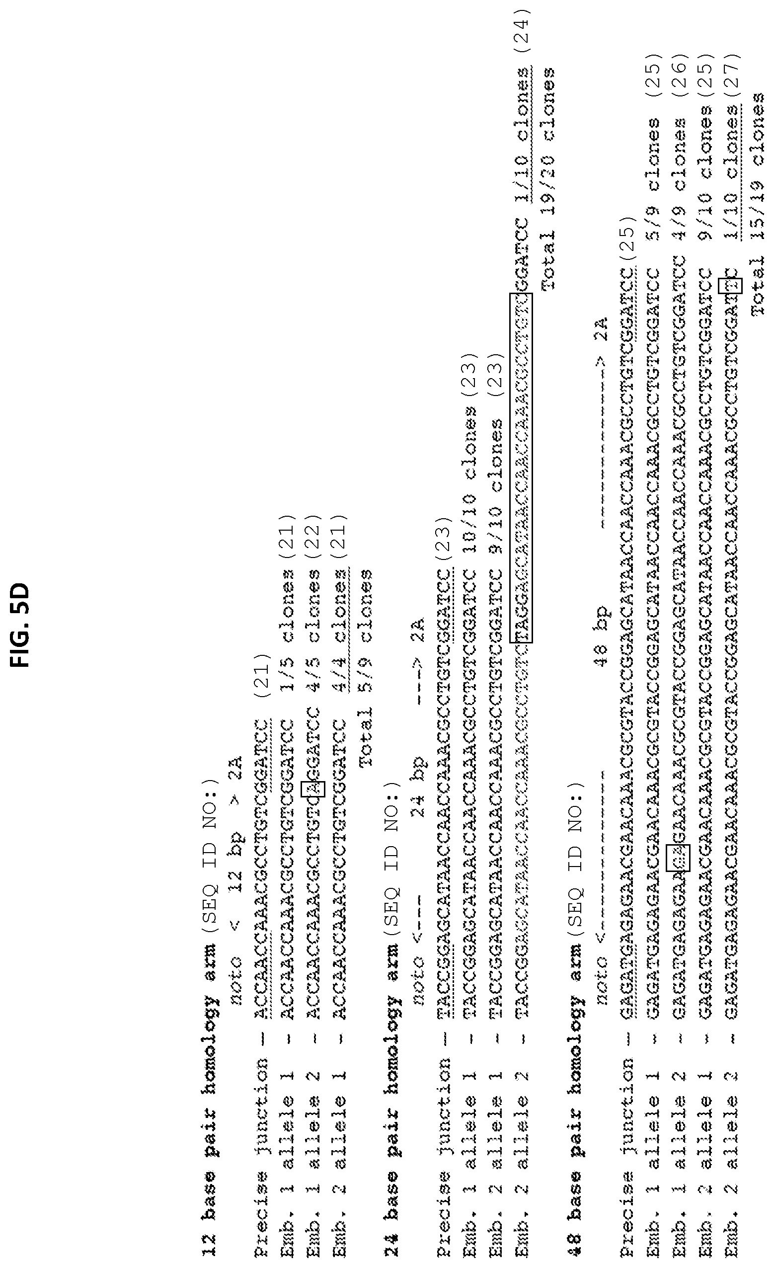 Patent US12305168 Figure 10 – Materials and methods for efficient targeted knock in or gene replacement