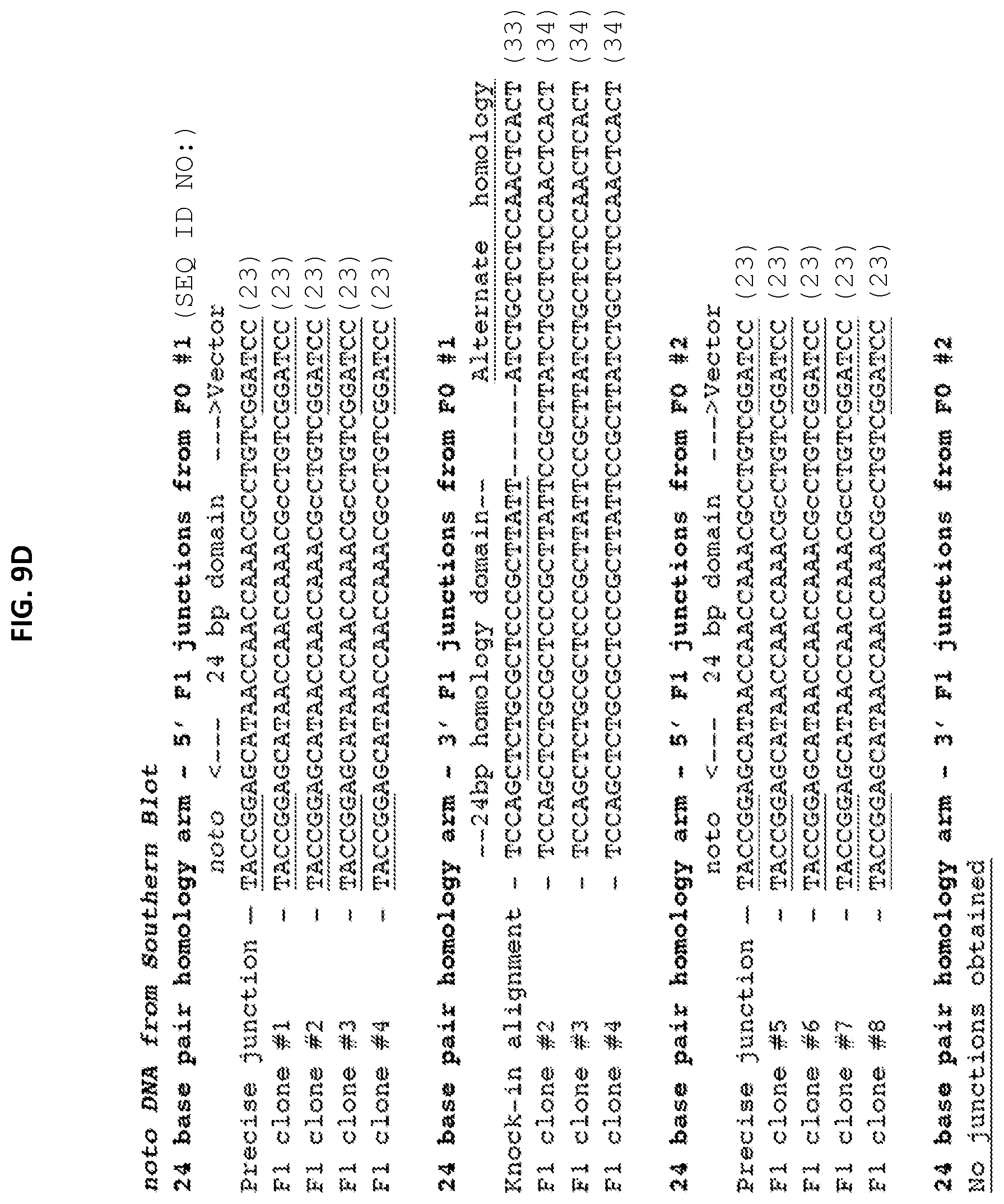 Patent US12305168 Figure 20 – Materials and methods for efficient targeted knock in or gene replacement
