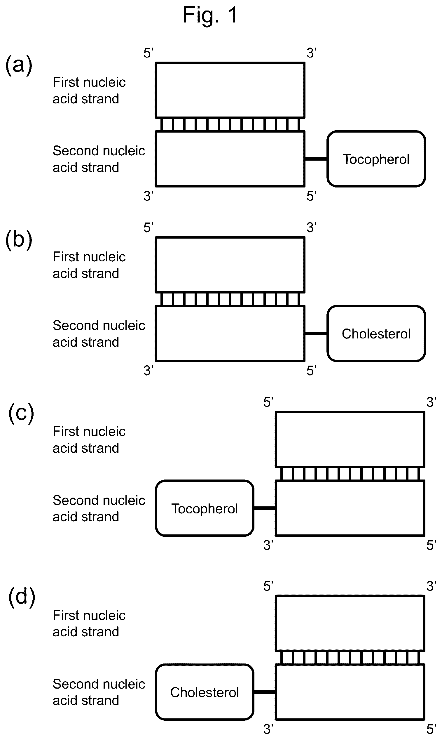 Patent US12305169 Figure 1 – BBB-crossing lipid ligand of hetero nucleic acid