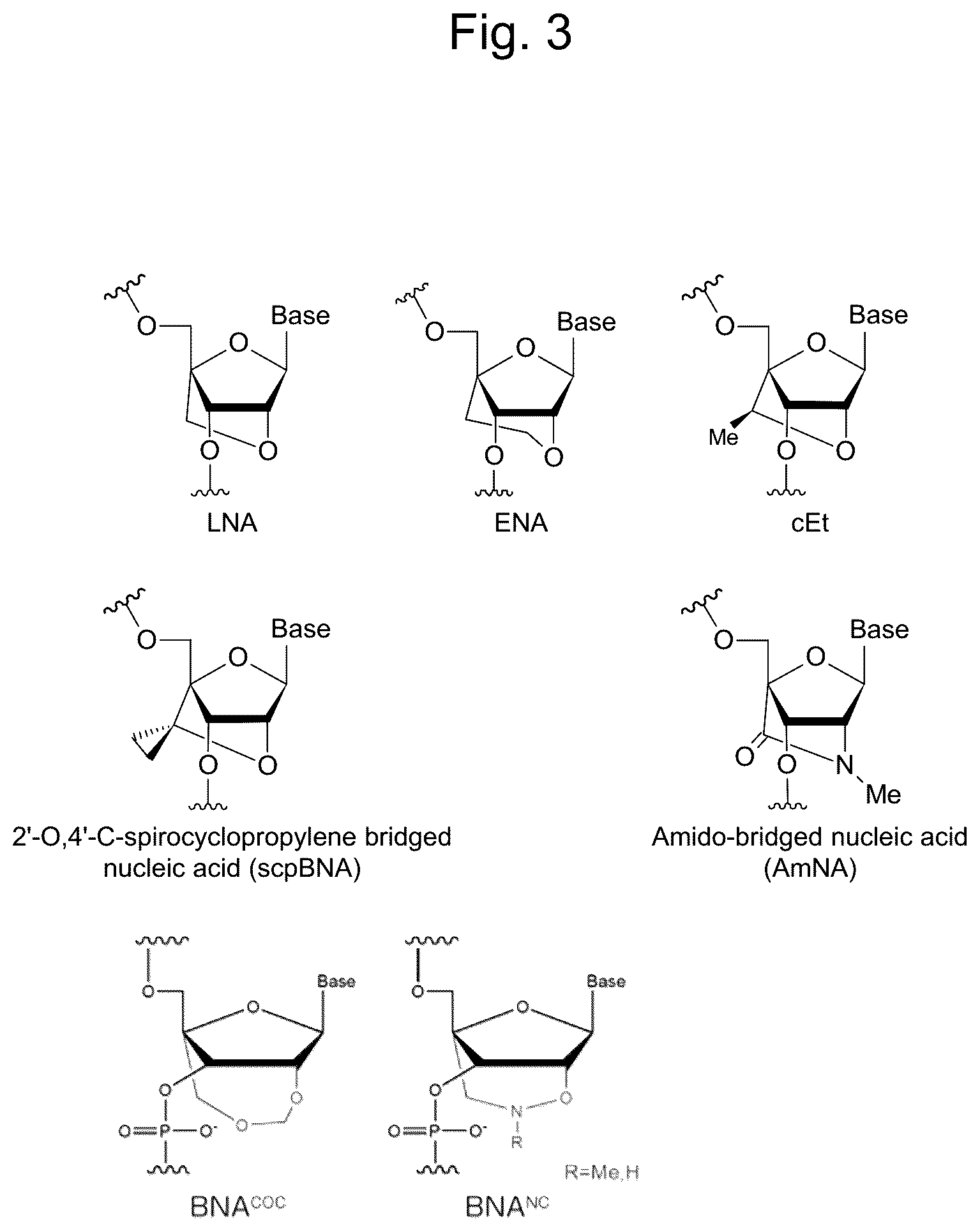 Patent US12305169 Figure 3 – BBB-crossing lipid ligand of hetero nucleic acid