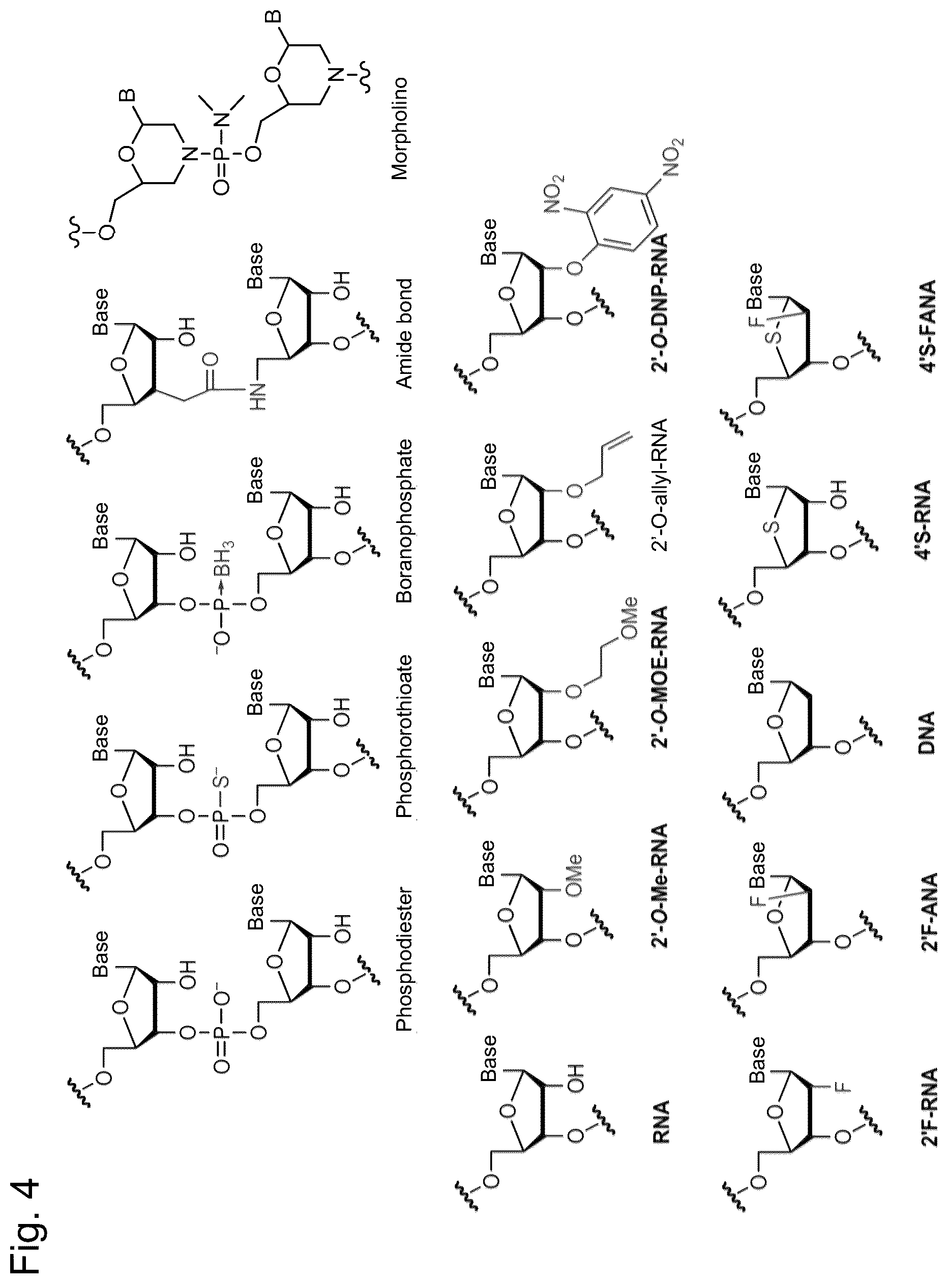 Patent US12305169 Figure 4 – BBB-crossing lipid ligand of hetero nucleic acid