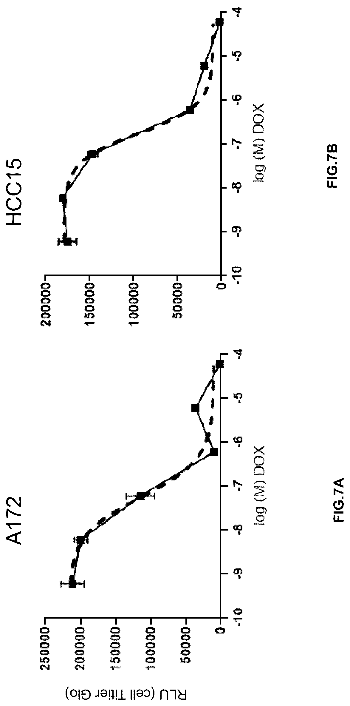 Patent US12305171 Figure 7 – Compositions and methods for treating cancer