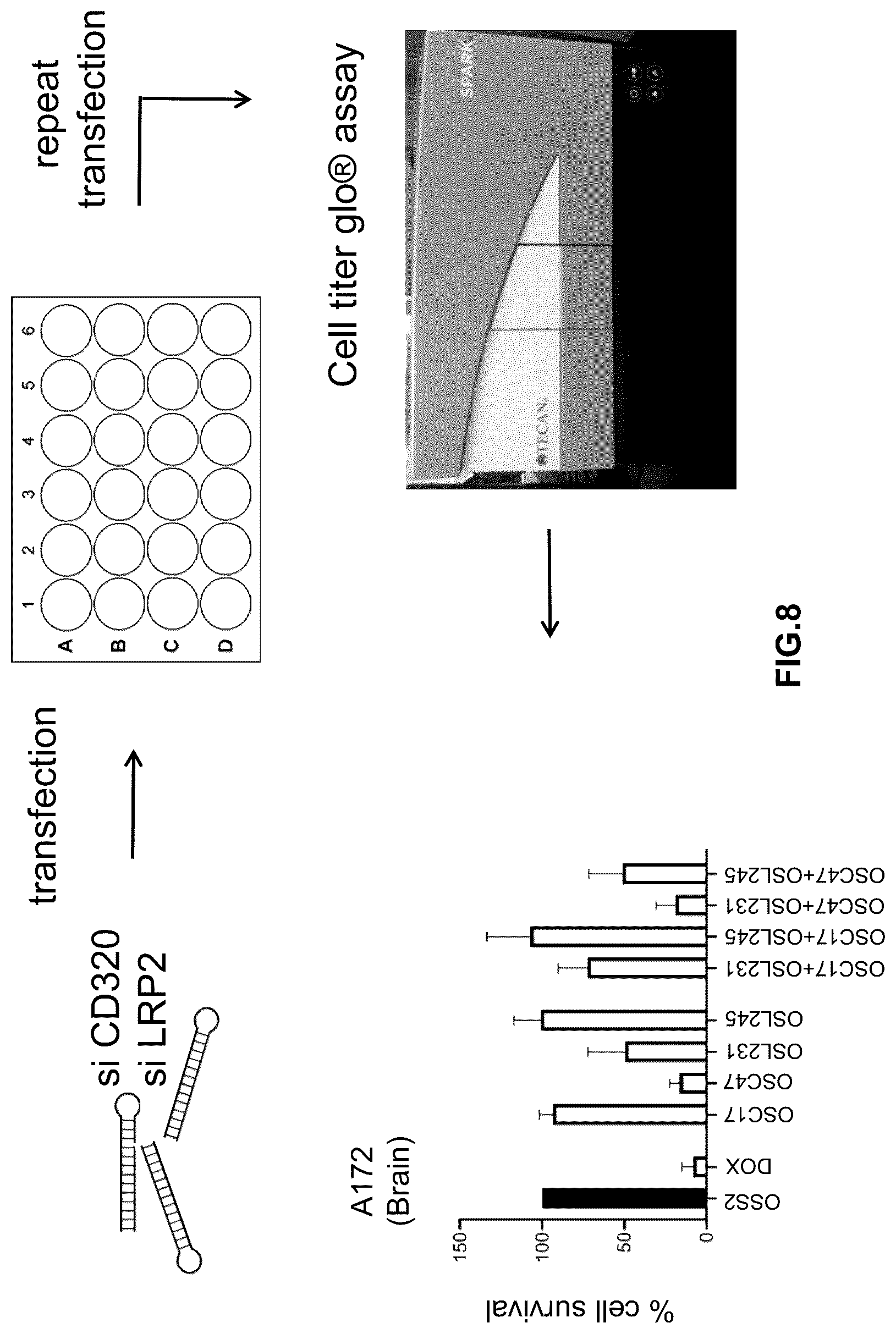 Patent US12305171 Figure 8 – Compositions and methods for treating cancer