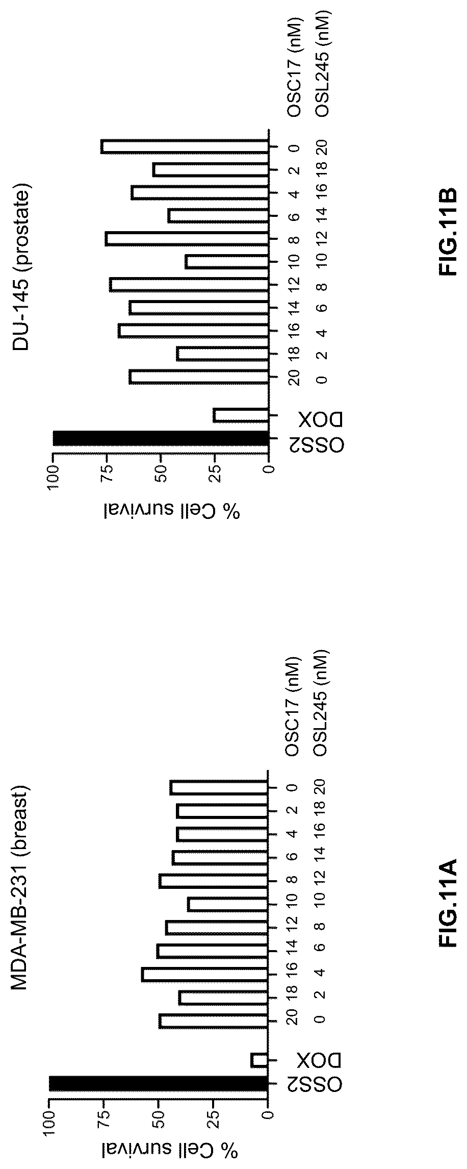Patent US12305171 Figure 11 – Compositions and methods for treating cancer