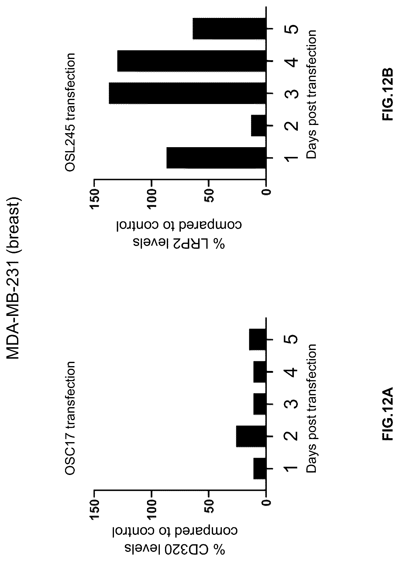 Patent US12305171 Figure 12 – Compositions and methods for treating cancer