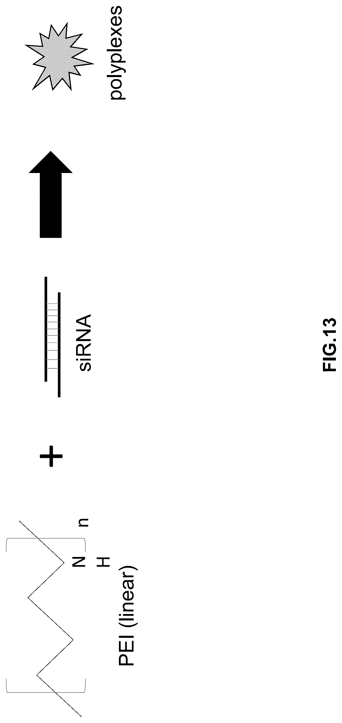 Patent US12305171 Figure 13 – Compositions and methods for treating cancer