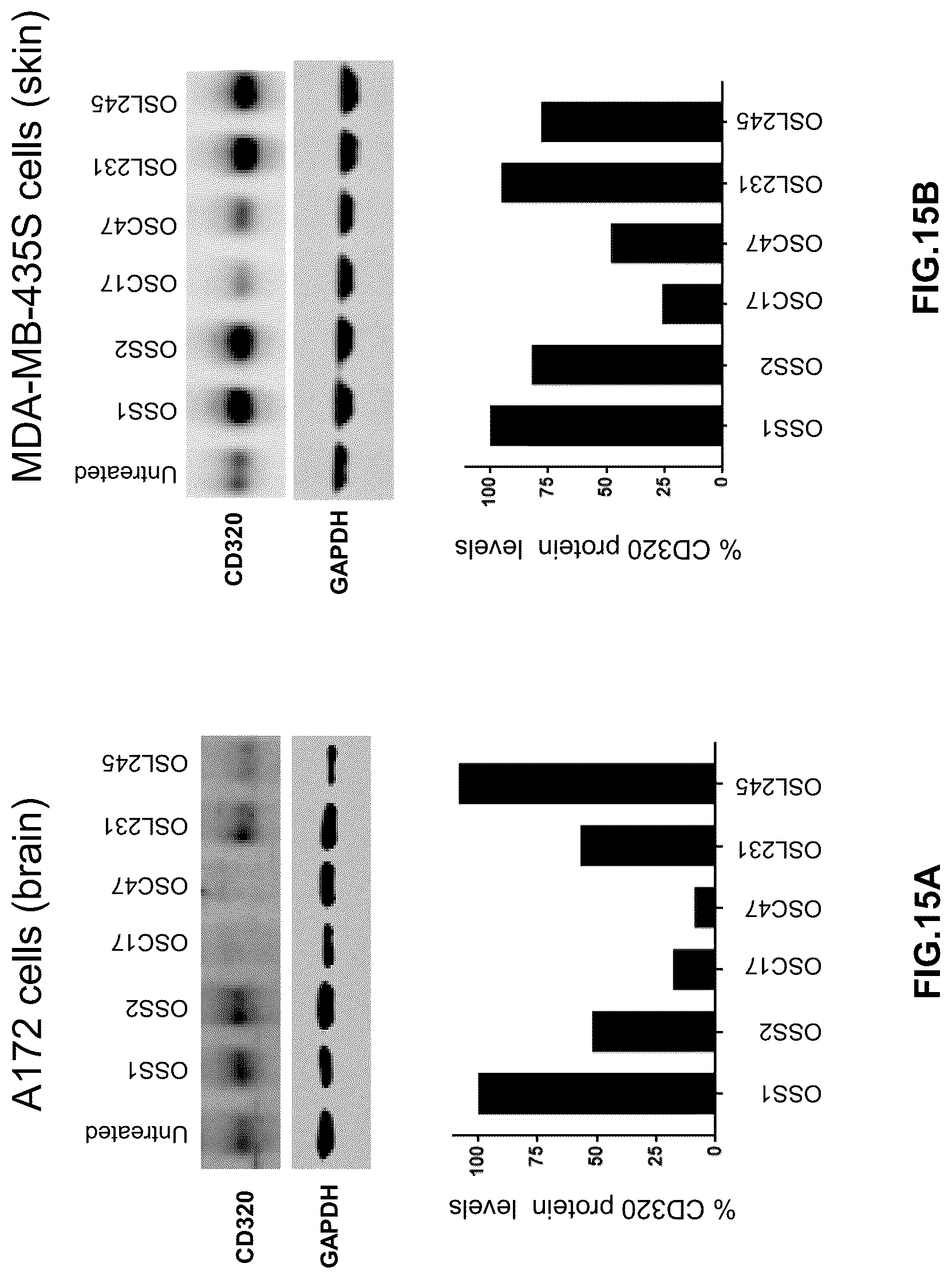 Patent US12305171 Figure 15 – Compositions and methods for treating cancer