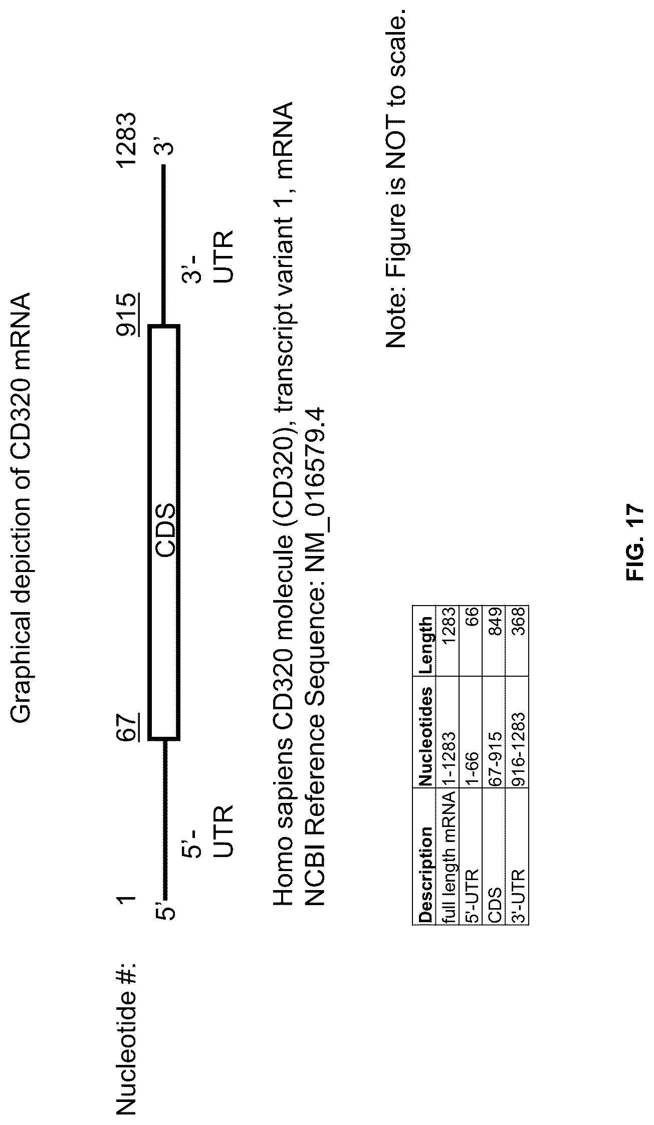 Patent US12305171 Figure 17 – Compositions and methods for treating cancer