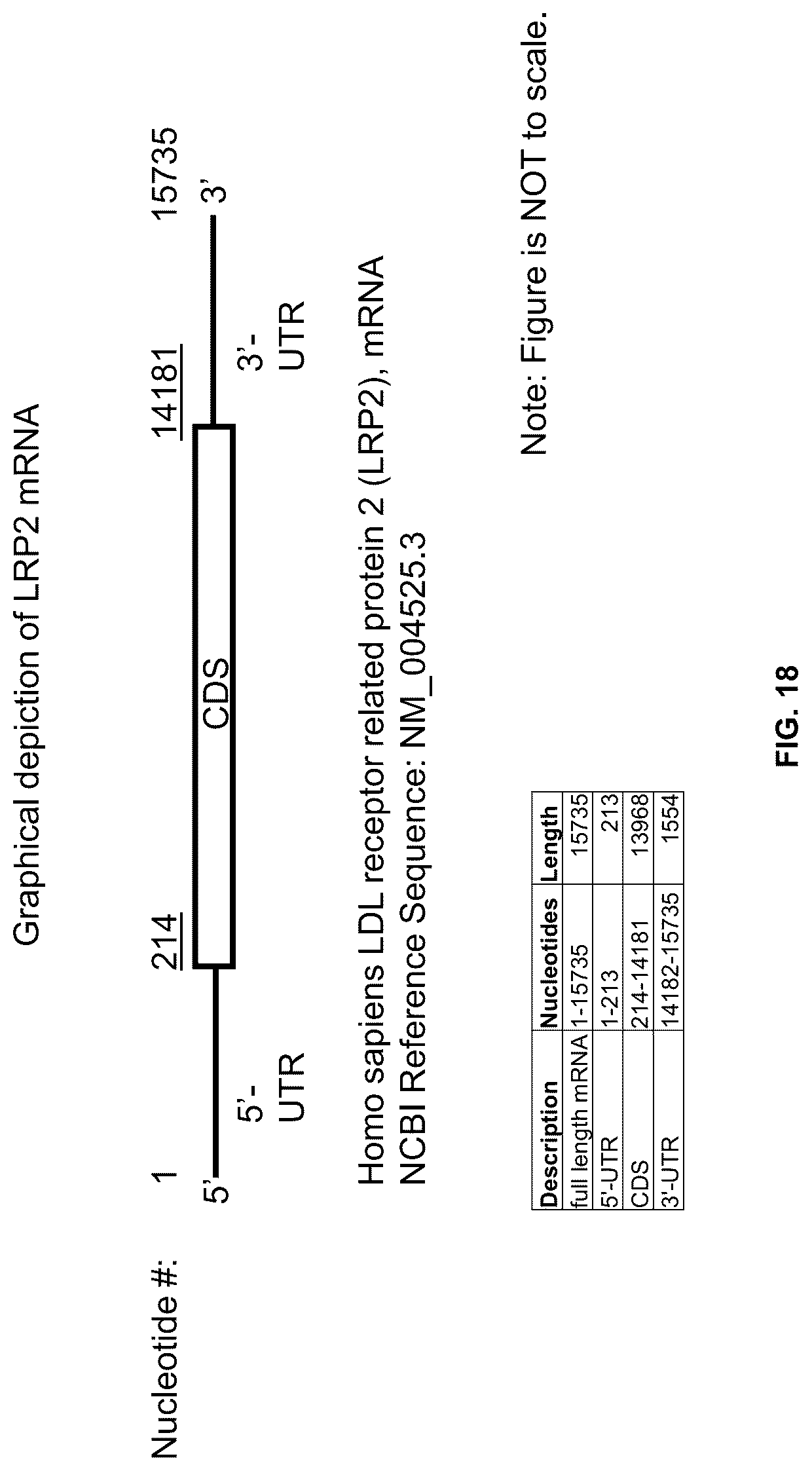Patent US12305171 Figure 18 – Compositions and methods for treating cancer