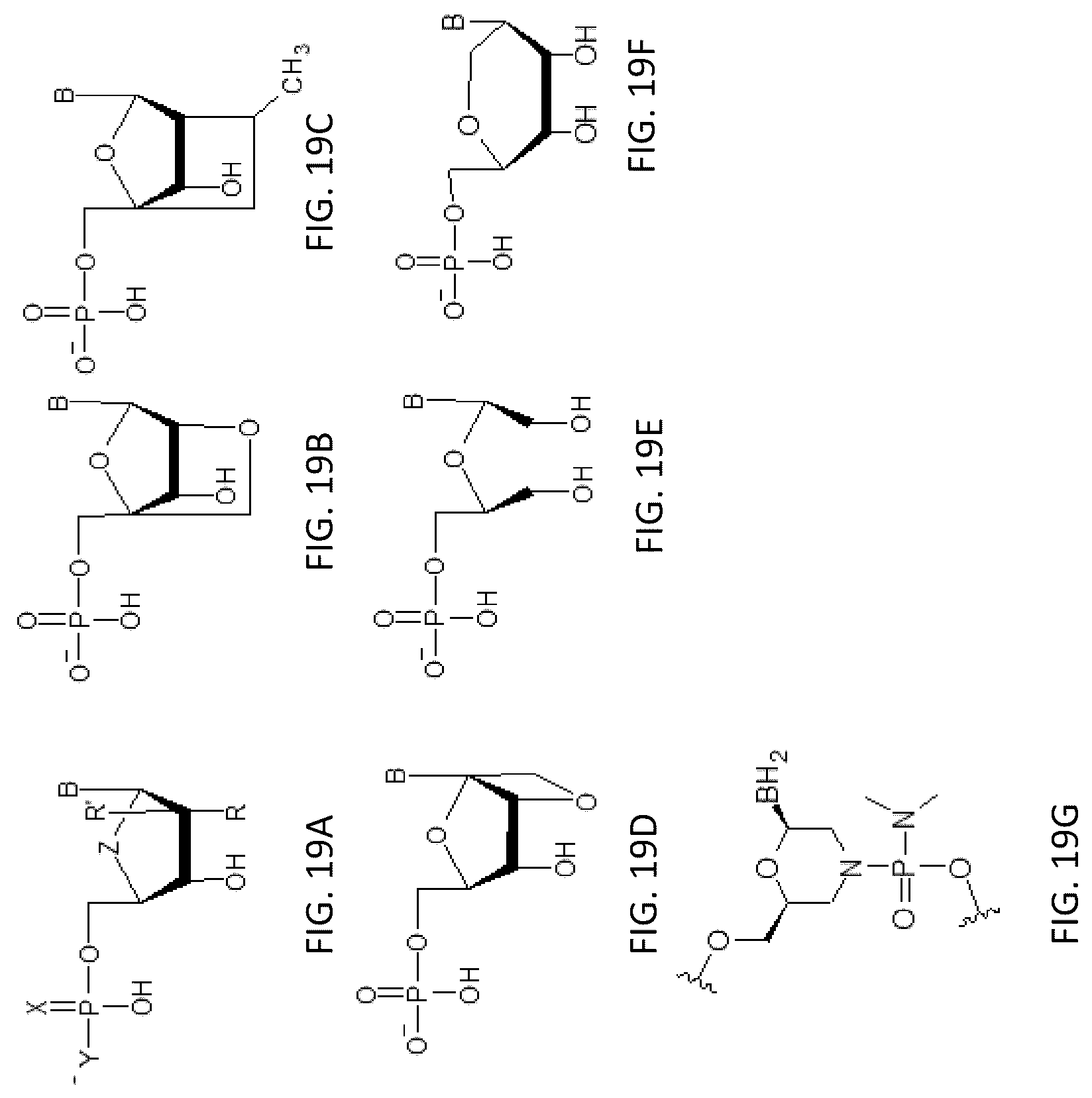 Patent US12305171 Figure 19 – Compositions and methods for treating cancer