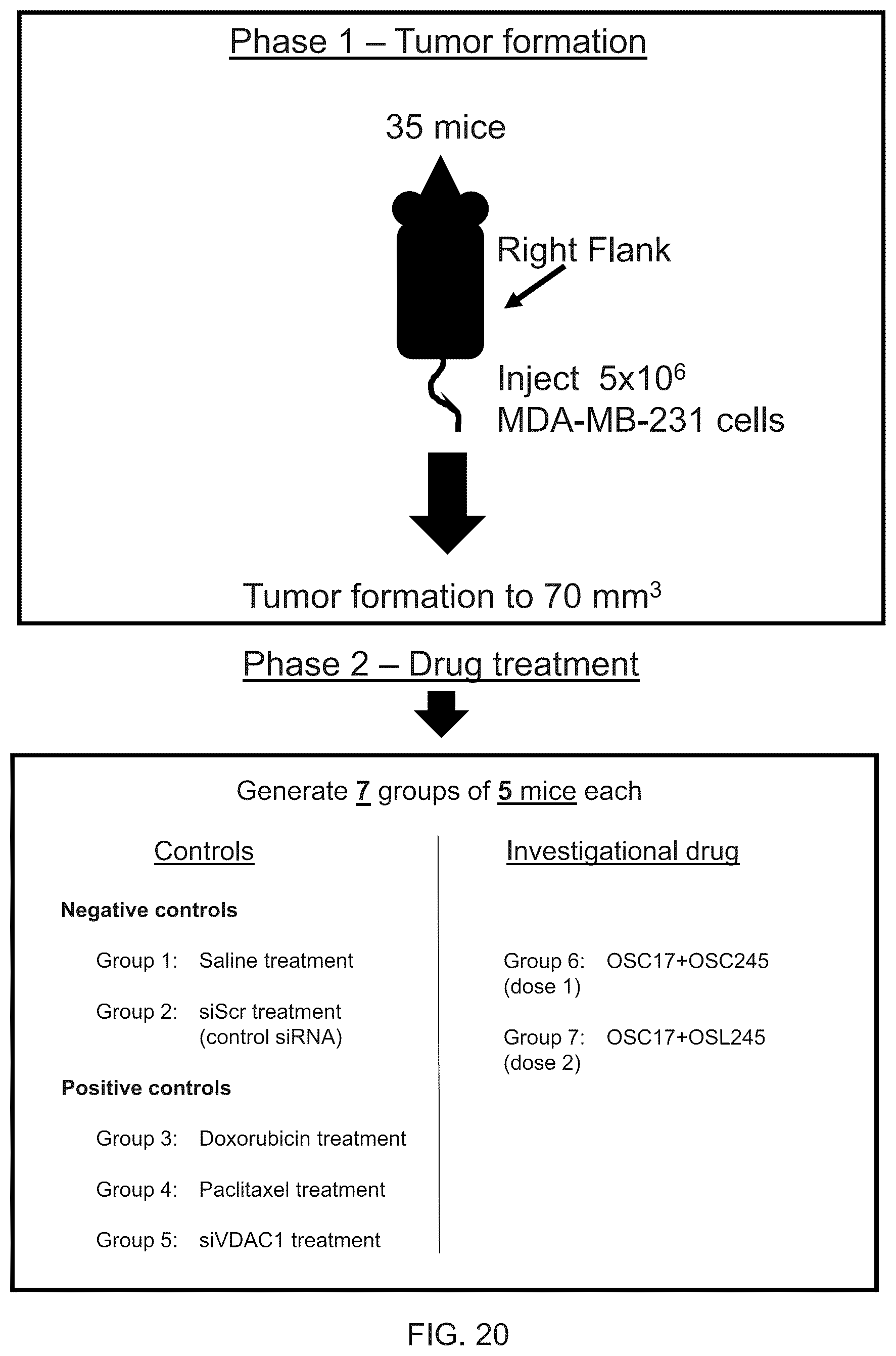Patent US12305171 Figure 20 – Compositions and methods for treating cancer
