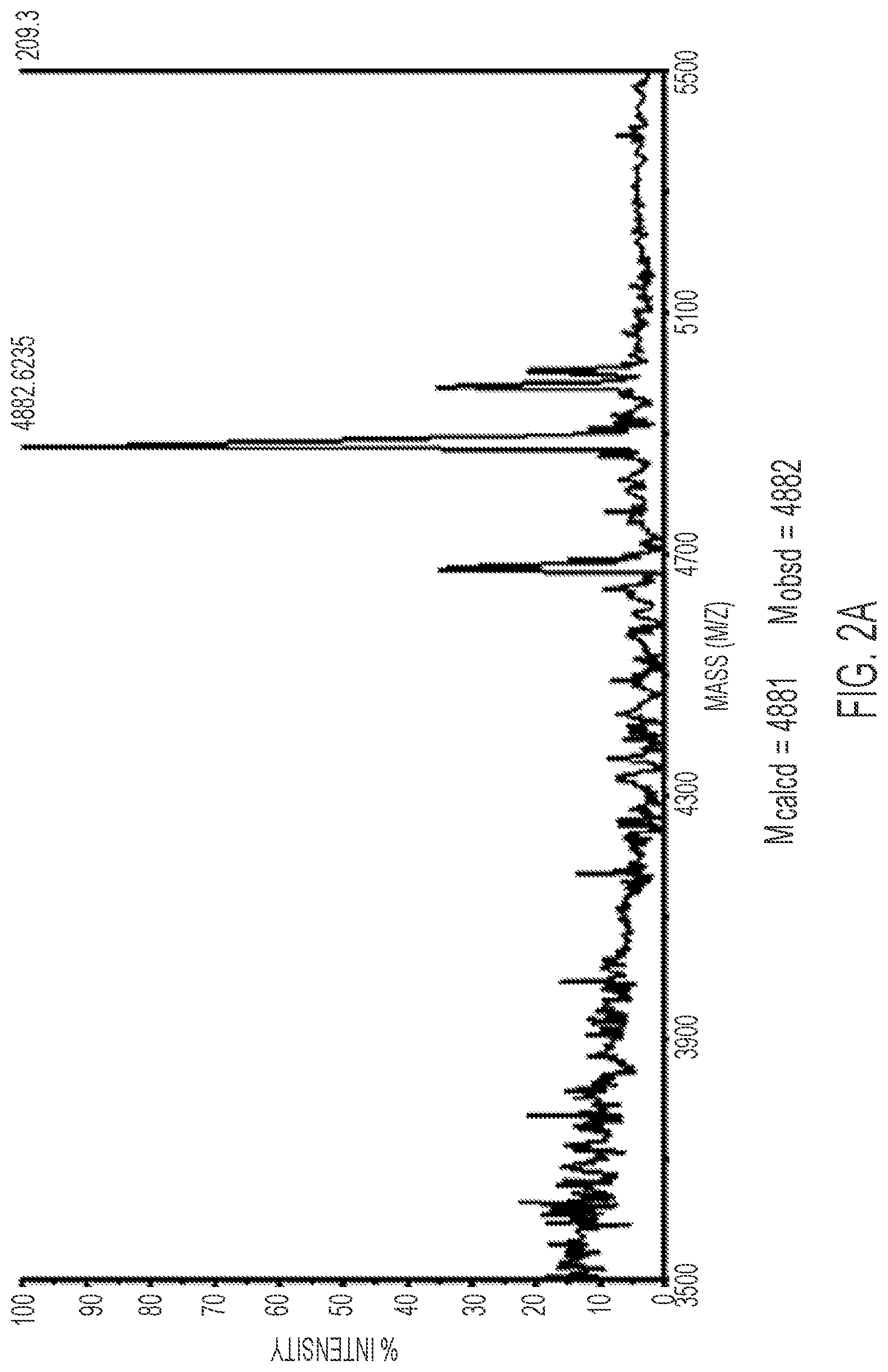 Patent US12305172 Figure 2 – G-rich iso-RNA oligomers as aptamers