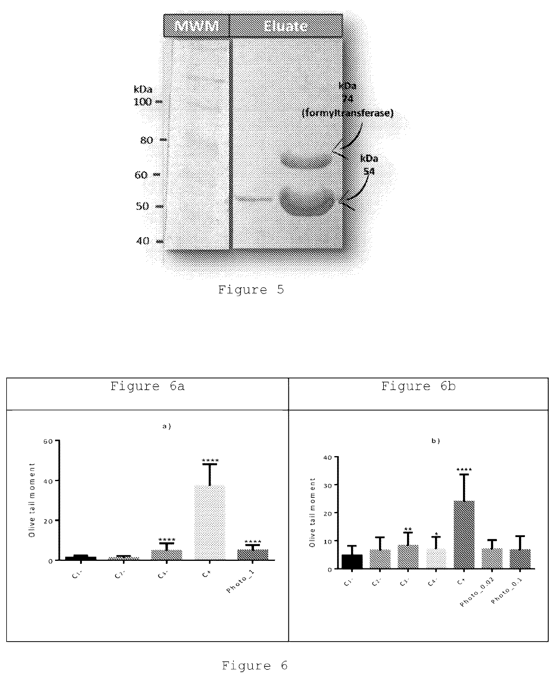 Patent US12305174 Figure 3 – Genetically modified bacteria producing three DNA repair enzymes and method for the evaluation of DNA repair activity