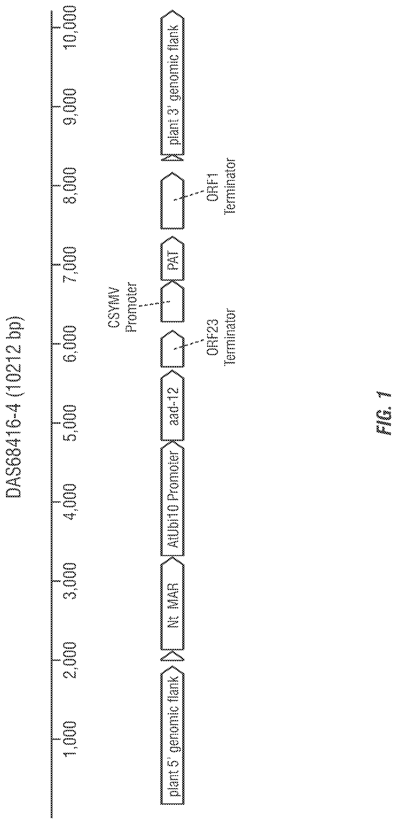Patent US12305175 Figure 1 – Modified excisable DAS68416-4 soybean transgenic herbicide resistance locus
