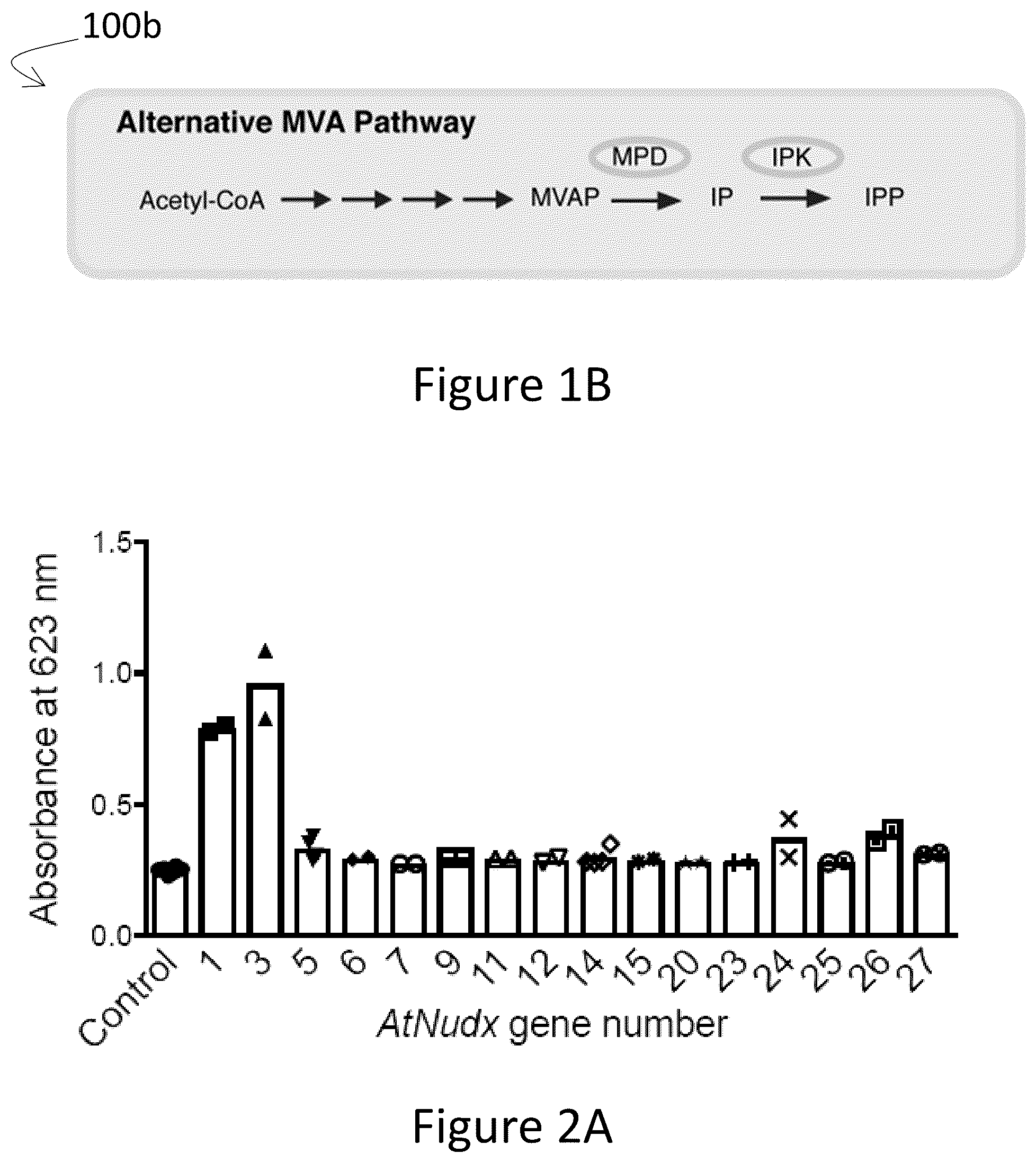 Patent US12305177 Figure 2 – Methods and platforms for sustainable high yield terpenoid production