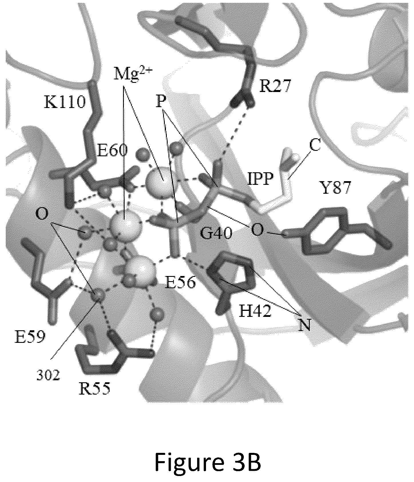 Patent US12305177 Figure 5 – Methods and platforms for sustainable high yield terpenoid production